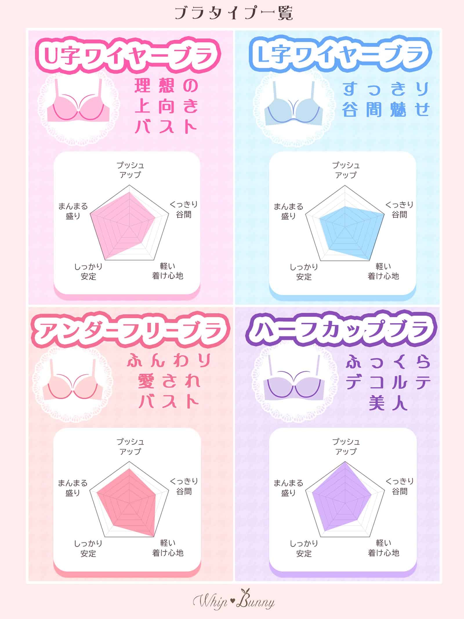 7/29新作!【明日花キララプロデュース/WhipBunny】Shiny Ribbon Tulle Bra&Shorts / シャイニーリボンチュールブラ&Tバック