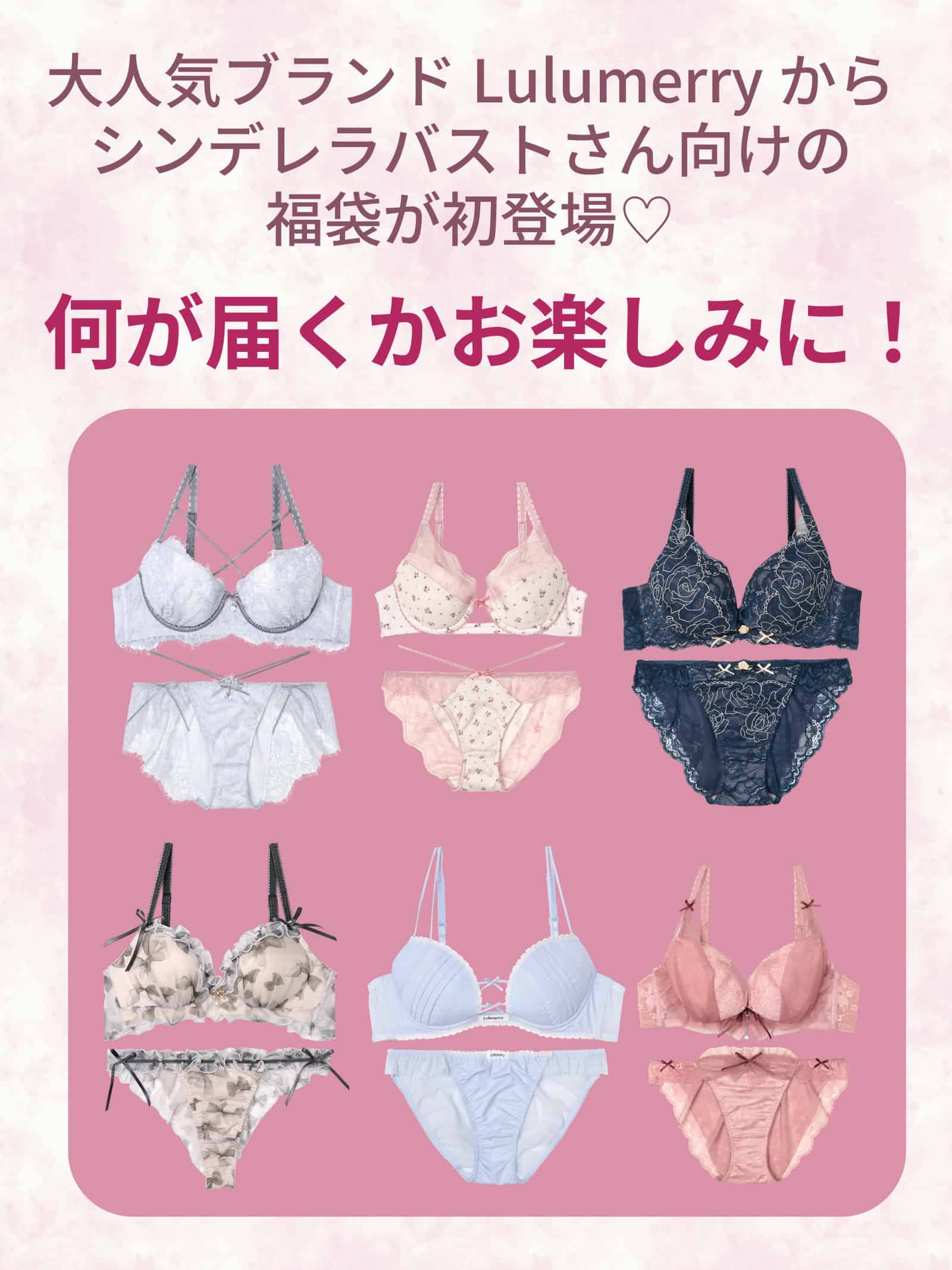 【A・Bカップ福袋】シンデレラバストさん向けHAPPYBAG 3,300円セット/選べるフルバックorハーフバック