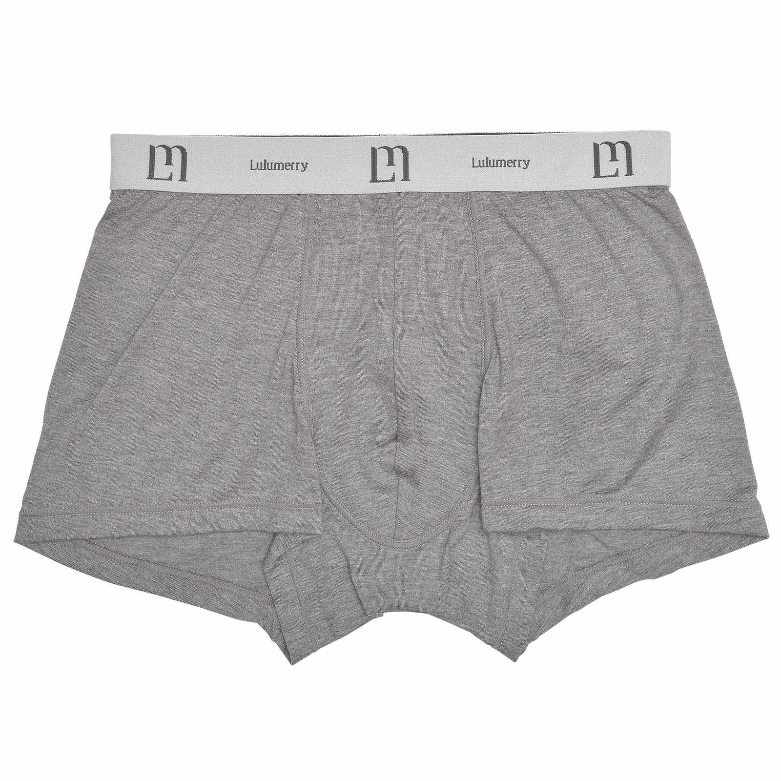 【YouTuber流那プロデュース/Lulumerry】モノグラムロゴ メンズパンツ/グレー
