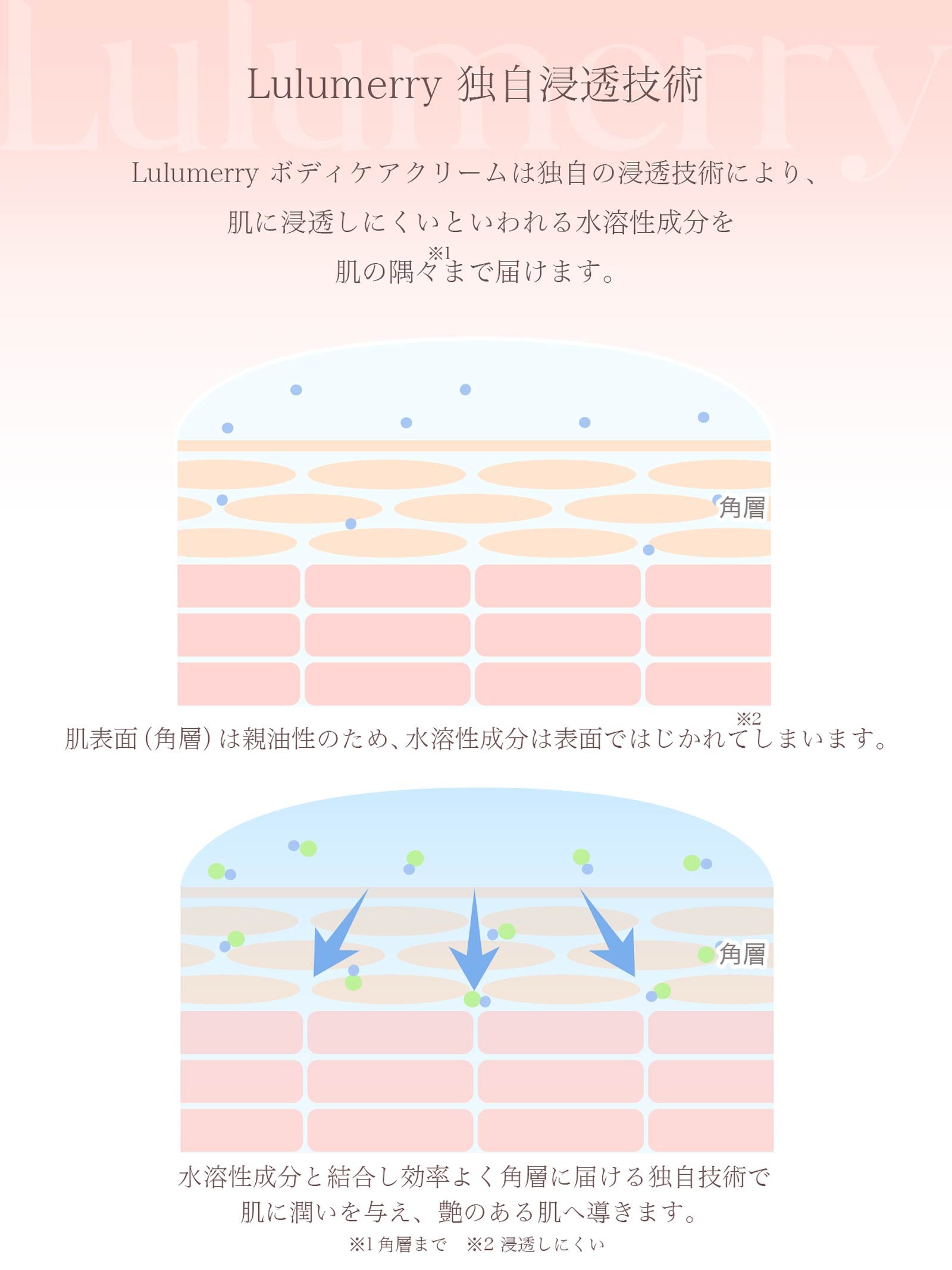 【YouTuber流那プロデュース/Lulumerry】ボディケアクリーム