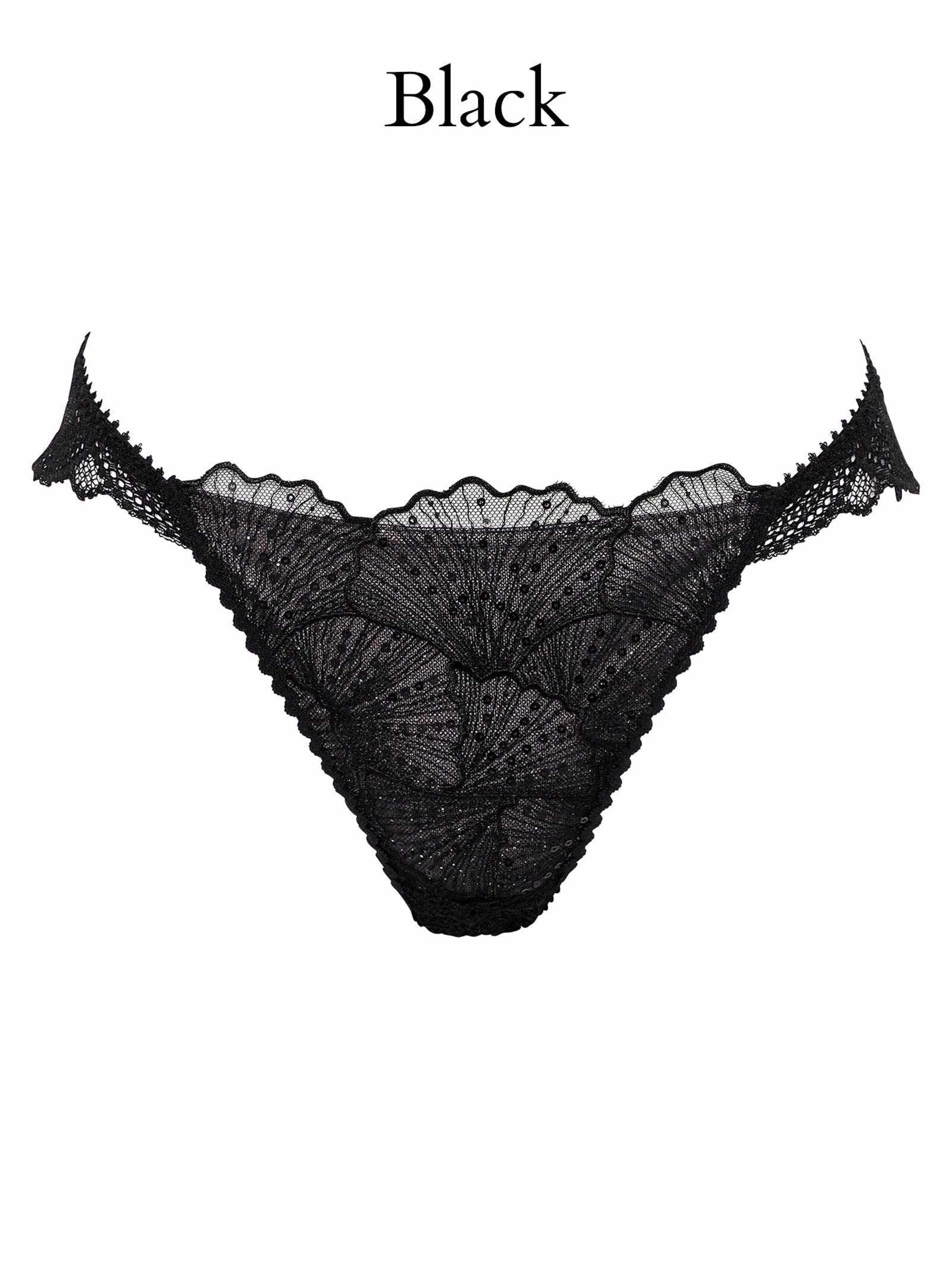 Luminous Shell Line Shorts ルミナスシェルライン ショーツ