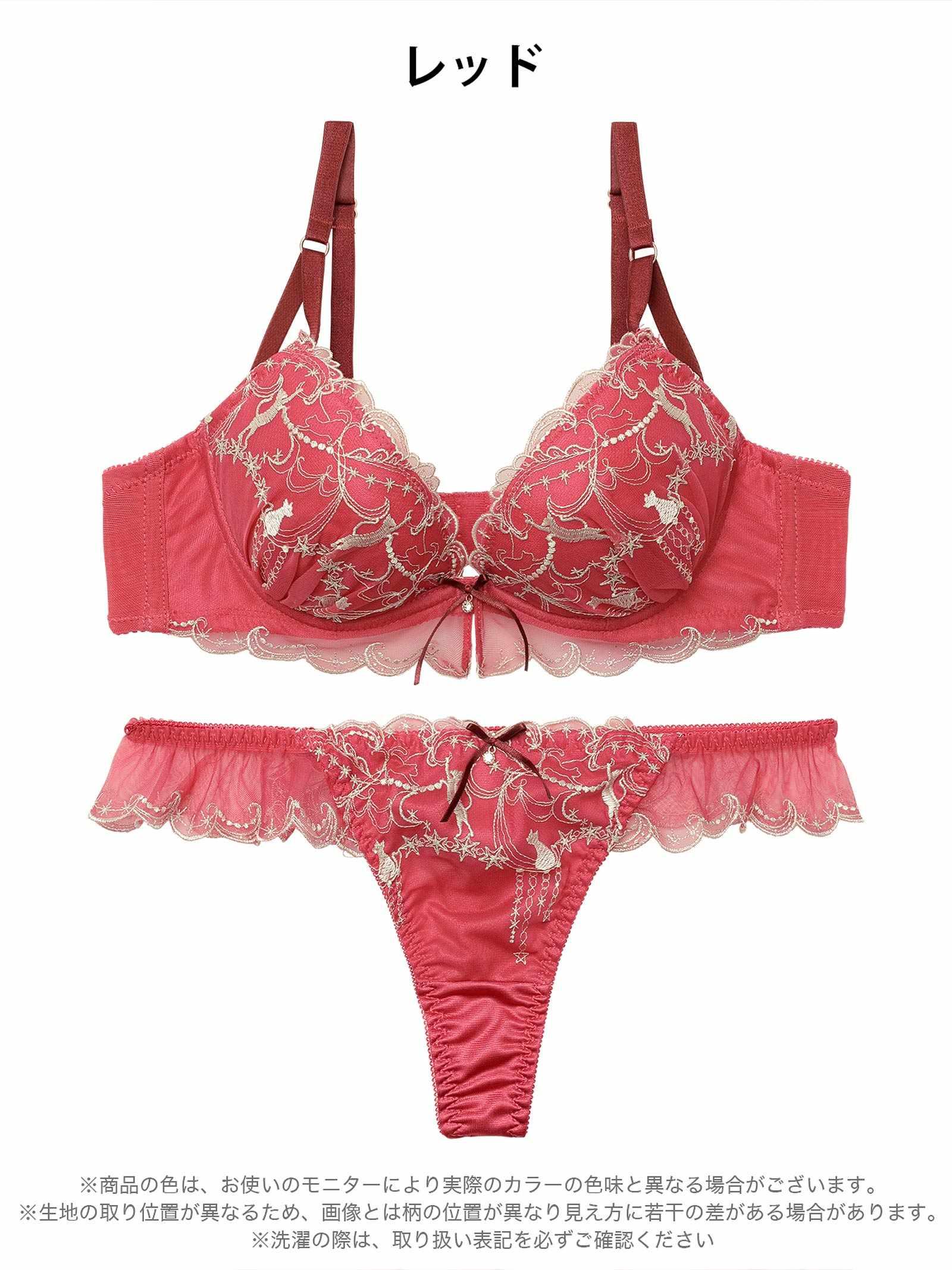 2/11新作!ドリーミーキャットブラジャー&Tバックショーツ