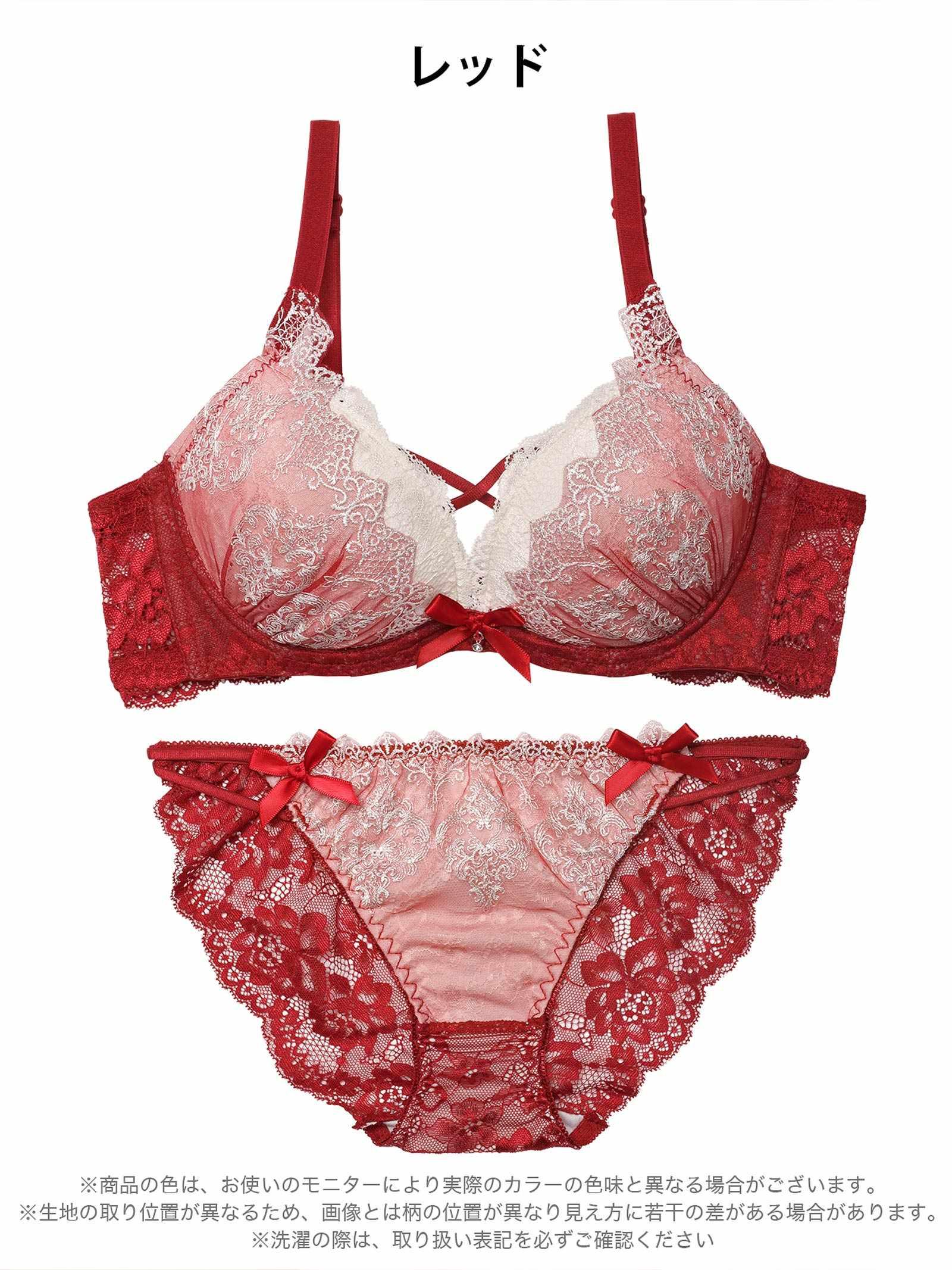 12/12新作!エレガントエンブロイダリー育乳脇高ブラジャー&バック透けフルバックショーツ