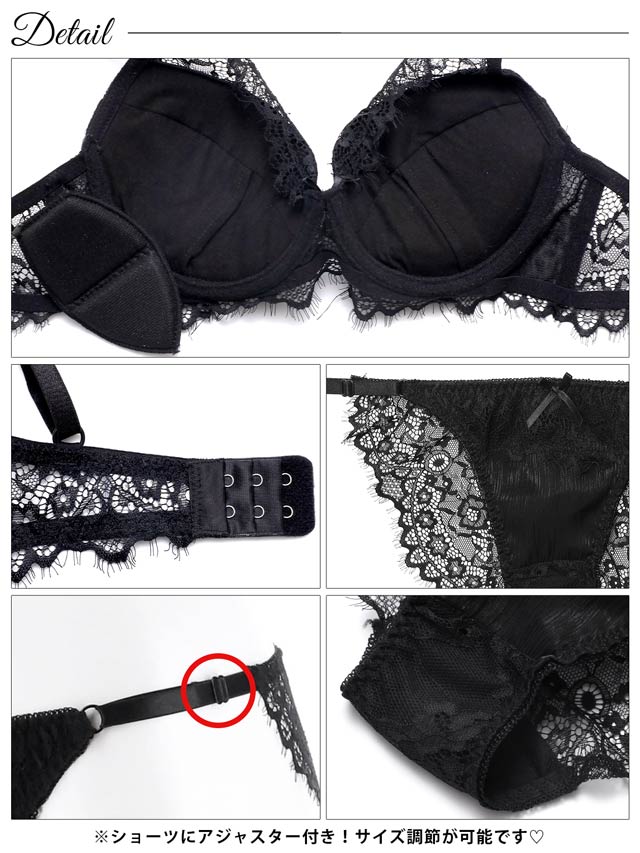 シャイニーアイラッシュレースブラジャー&バック透けフルバックショーツ