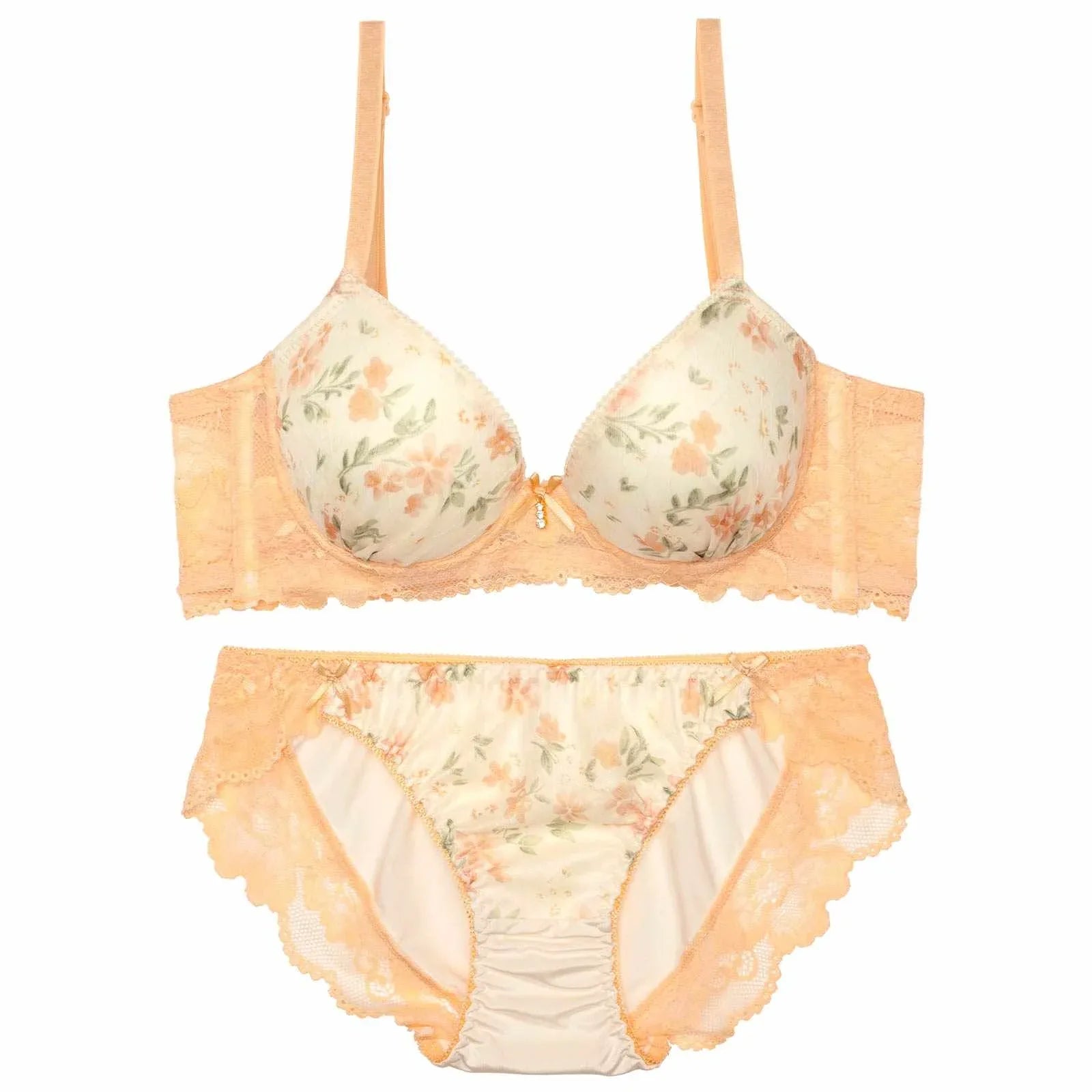 クラシック水彩フルーロン育乳脇高ブラジャー&フルバックショーツ