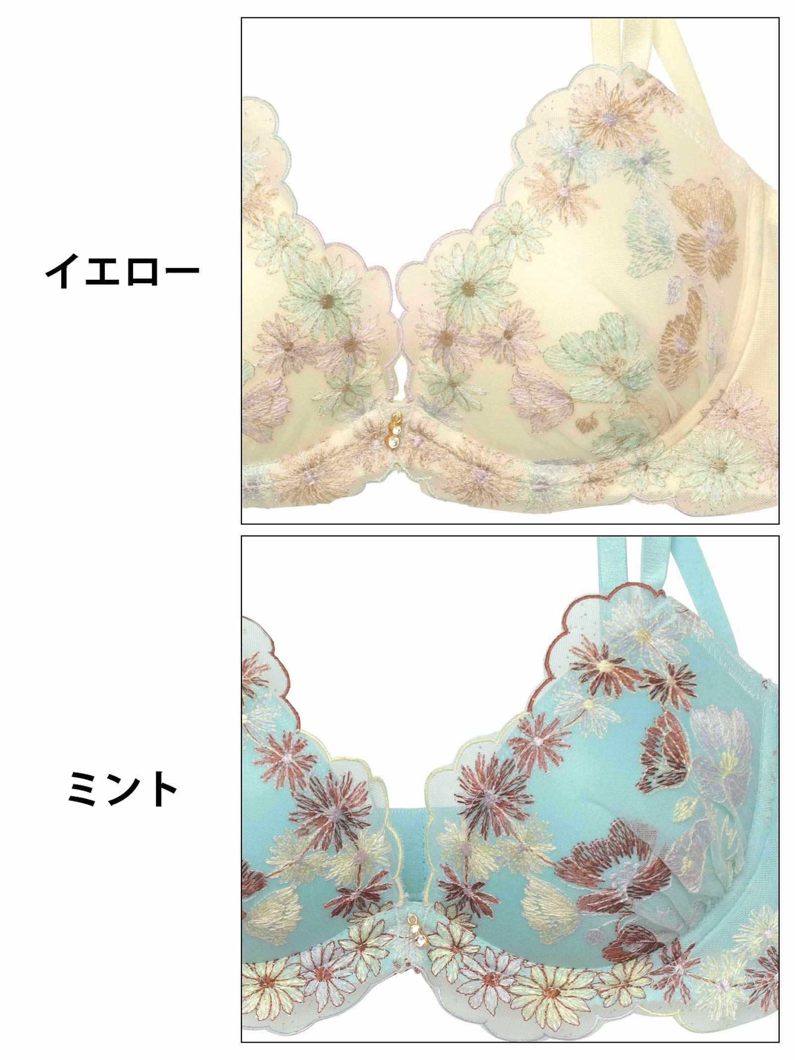 8/1新作!フェアリーピュアブルームブラジャー&フルバックショーツ