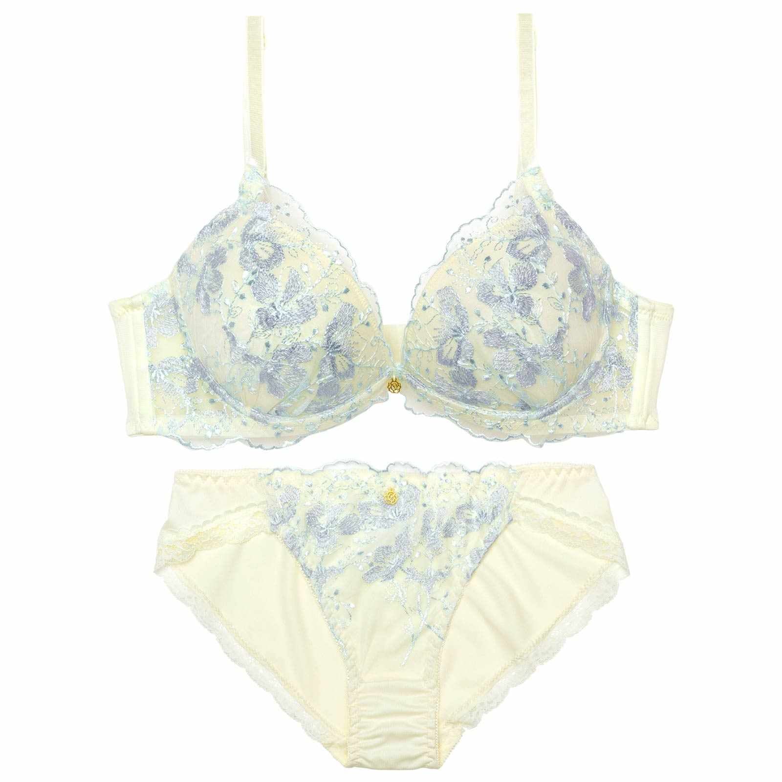 3/16新作!フローラルシアーメロウ育乳脇高ブラジャー&フルバックショーツ
