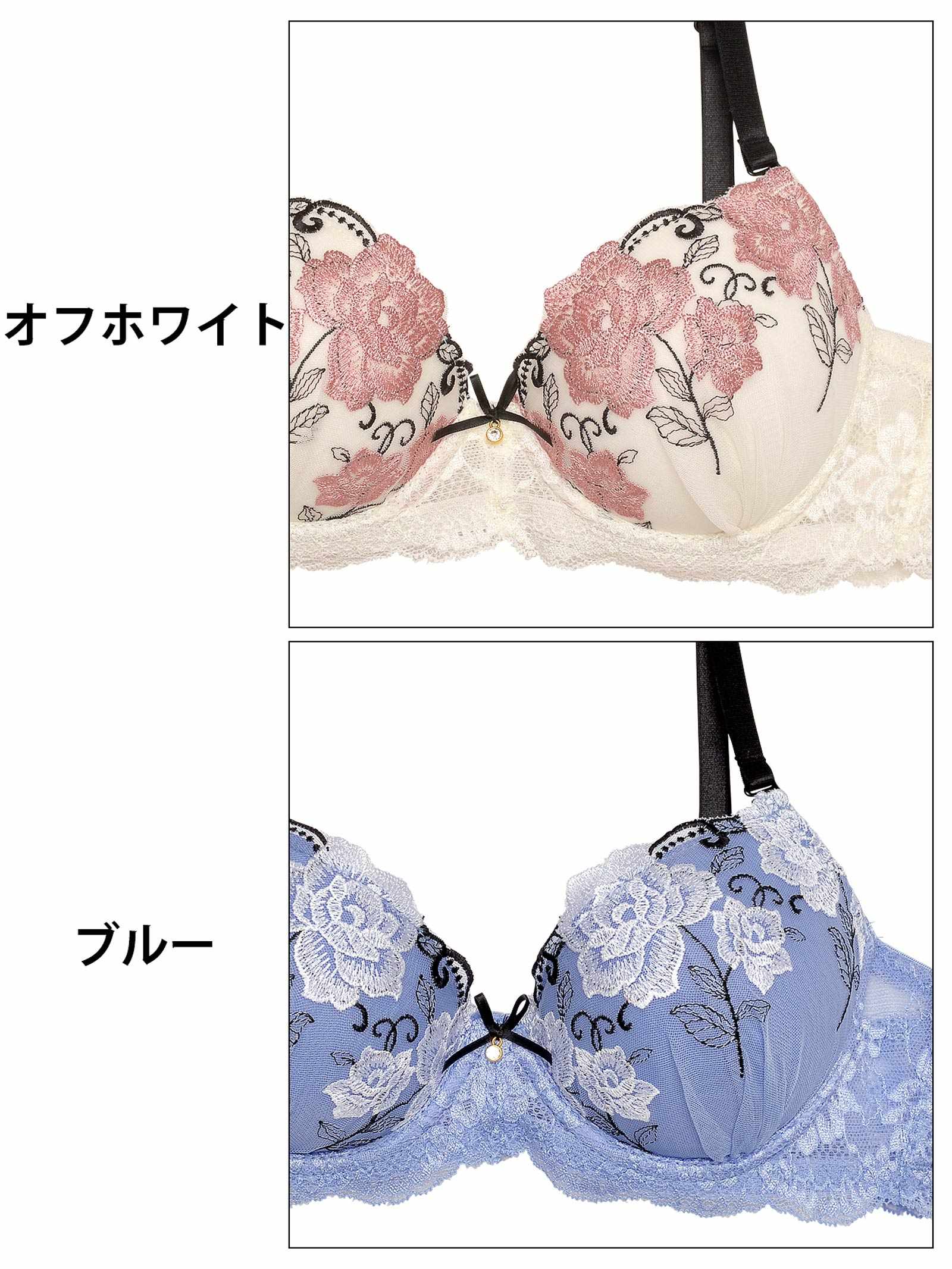 ファブリックレーシィローズブラジャー&バック透けフルバックショーツ