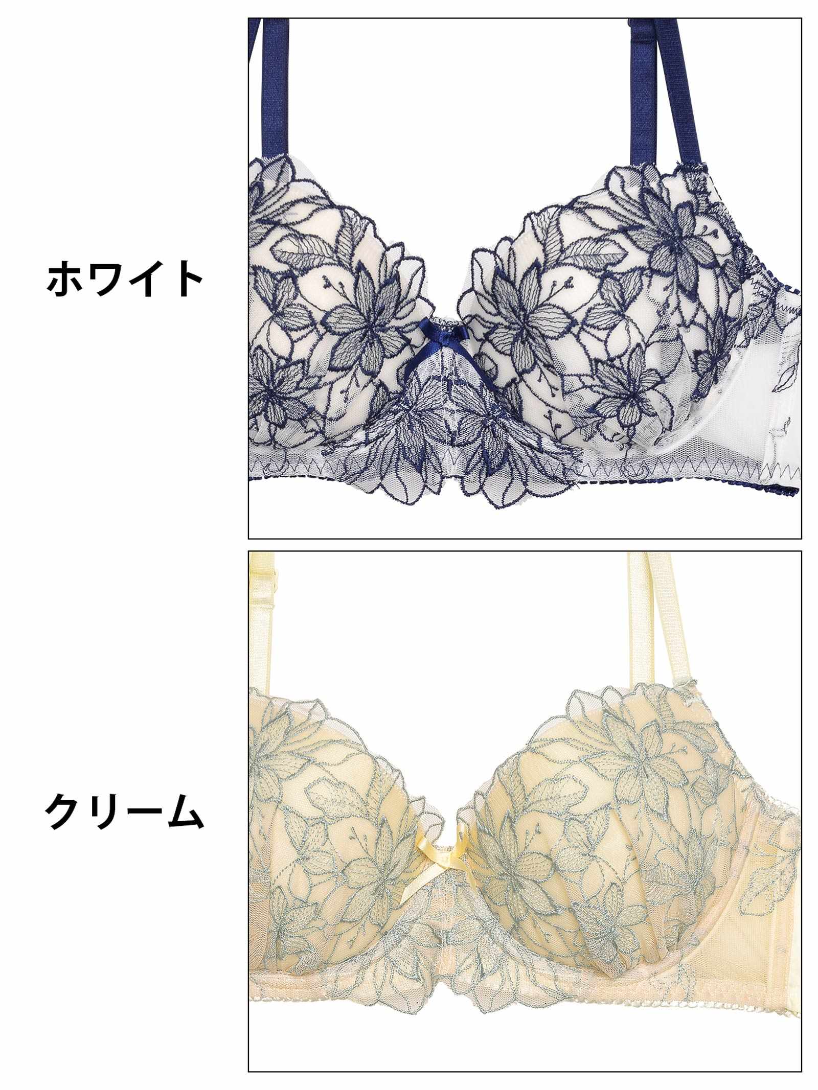 レトロシアーチュールエンブロイダリーブラジャー&フルバックショーツ