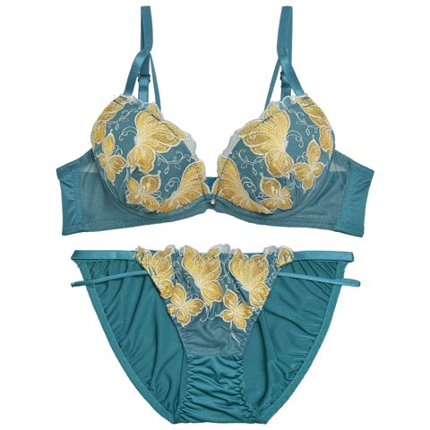 エレガンスパピヨンブラジャー&フルバックショーツ