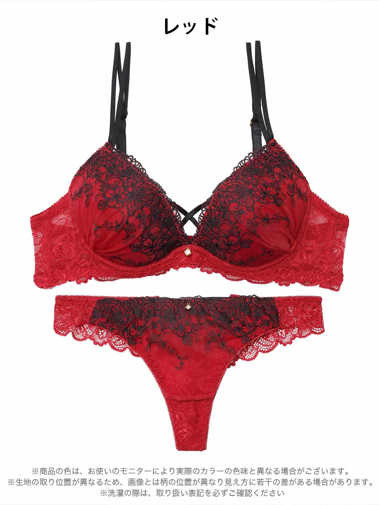 1/23新作!ディープクロスエンブロイダリーブラジャー&バック透けTバックショーツ
