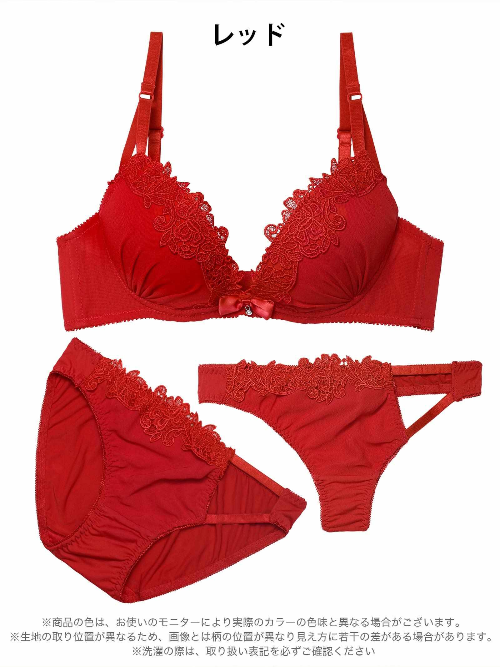 11/12新作!【3点セット】【EFサイズ】フルールケミカルレースブラジャー&フルバック&Tバックショーツ