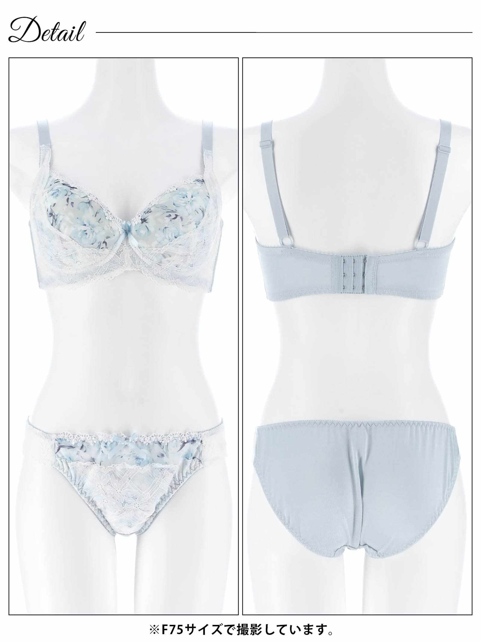 2/18新作!【EFサイズ】ピュアローズヴェールブラジャー&フルバックショーツ