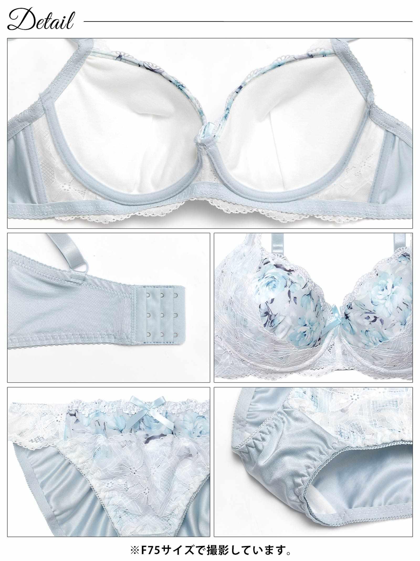 2/18新作!【EFサイズ】ピュアローズヴェールブラジャー&フルバックショーツ