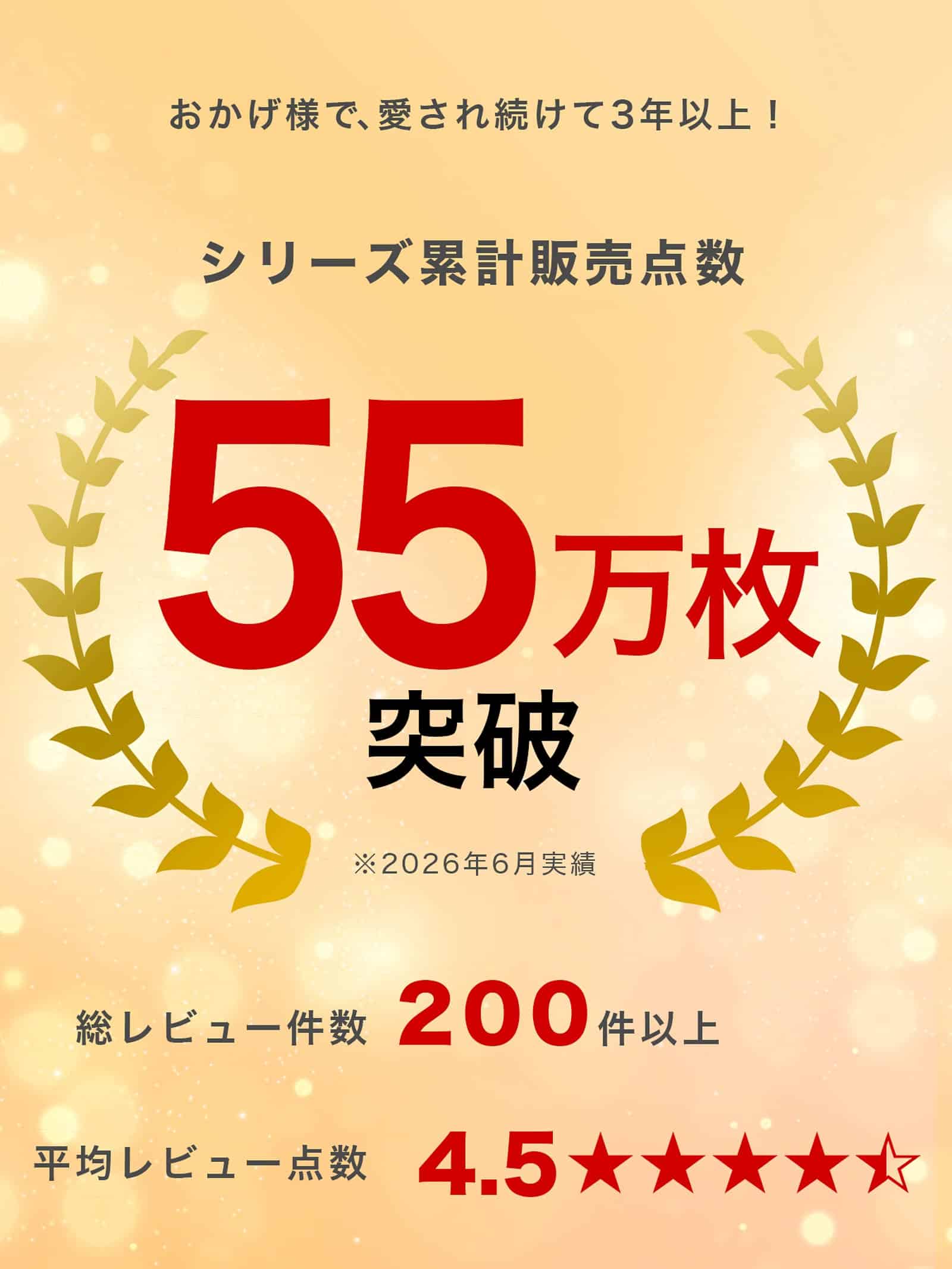 2/21再販!【福袋★ブラセット3点入】ブラジャー&ショーツ3点組入り福袋 - 【公式】247Lingerie