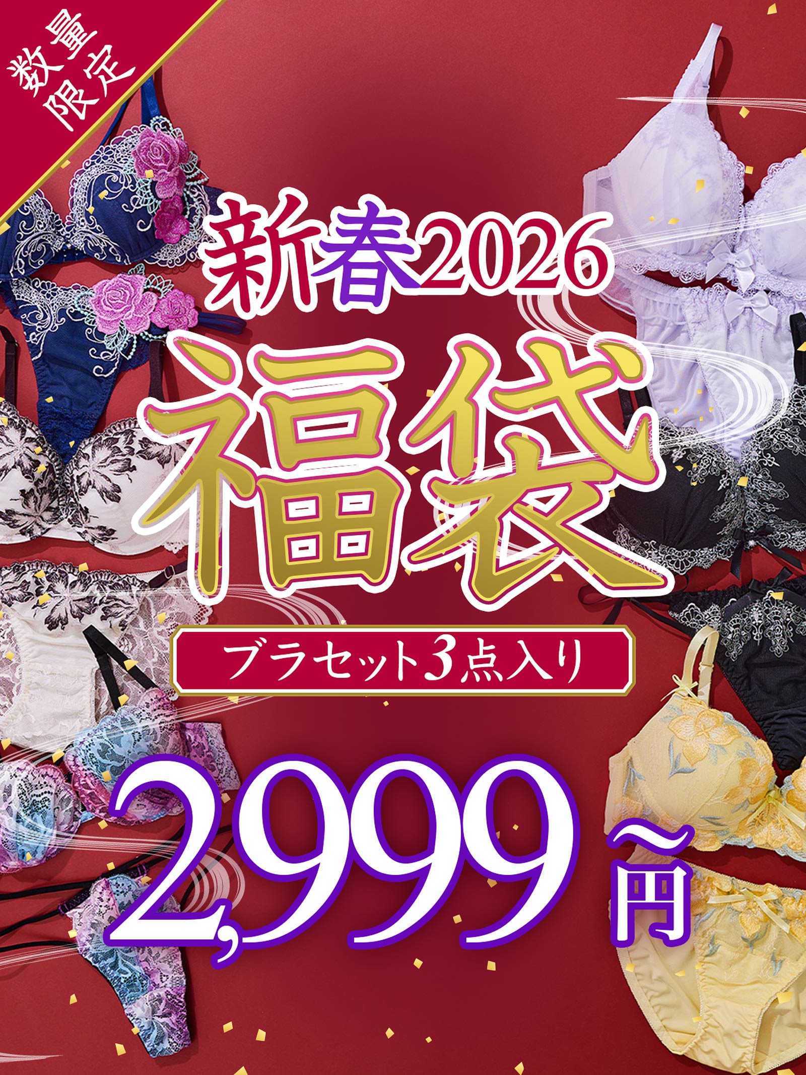 【予約:1月初旬頃より順次発送】12/4再販!【福袋★ブラセット3点入】ブラジャー&ショーツ3点組入り福袋