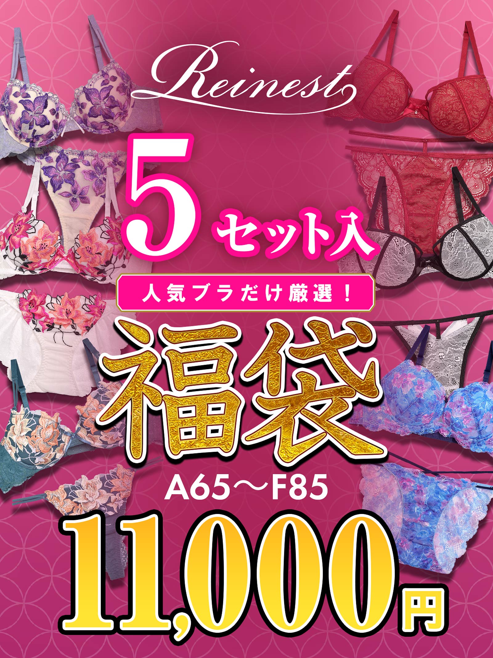 2/3再販!【福袋】【Reinest】ブラジャー&ショーツ5点組入り福袋