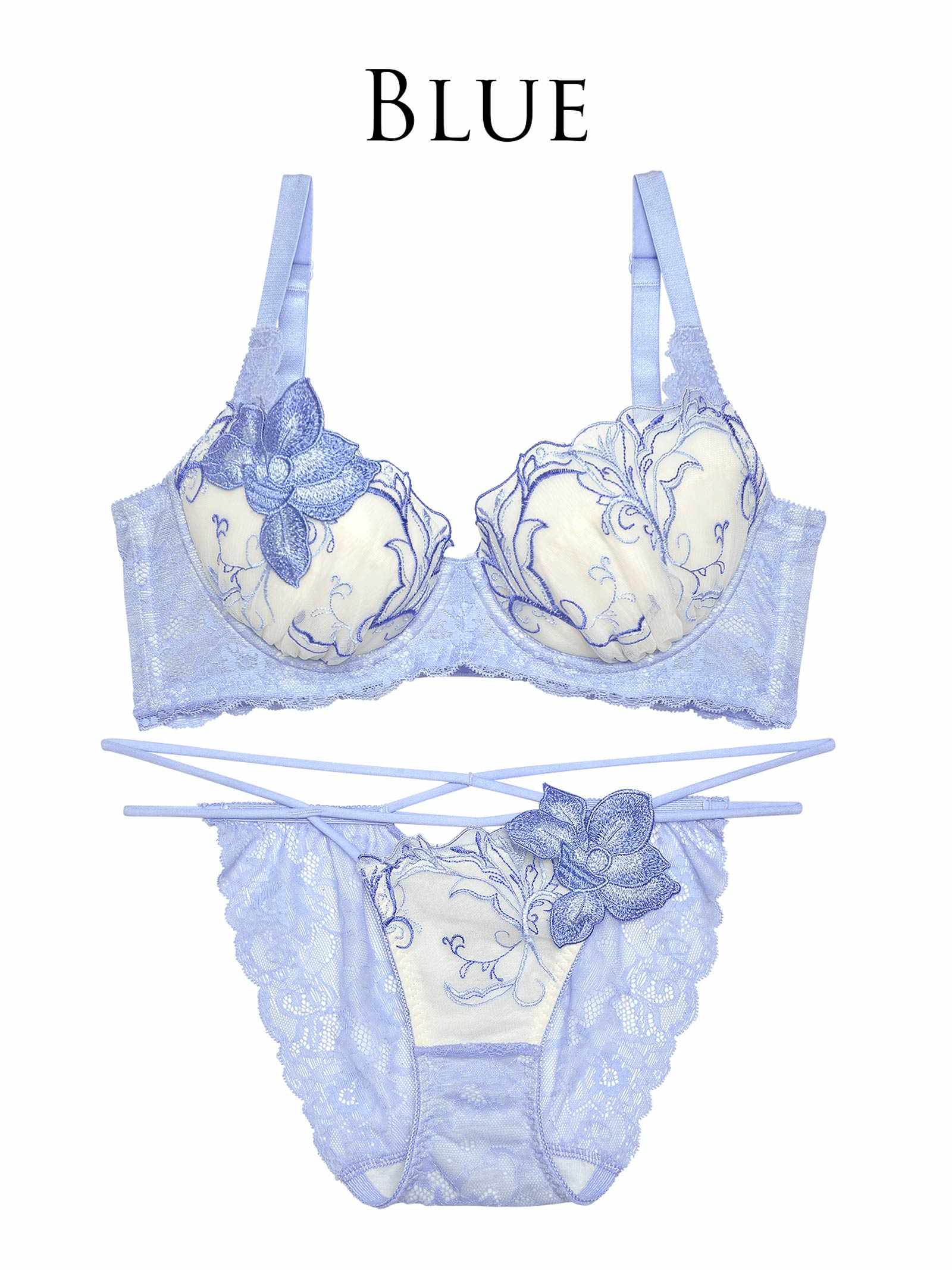 9/18新作!【Reinest】ルミナスペタルエンブロイダリーブラジャー&バック透けフルバックショーツ