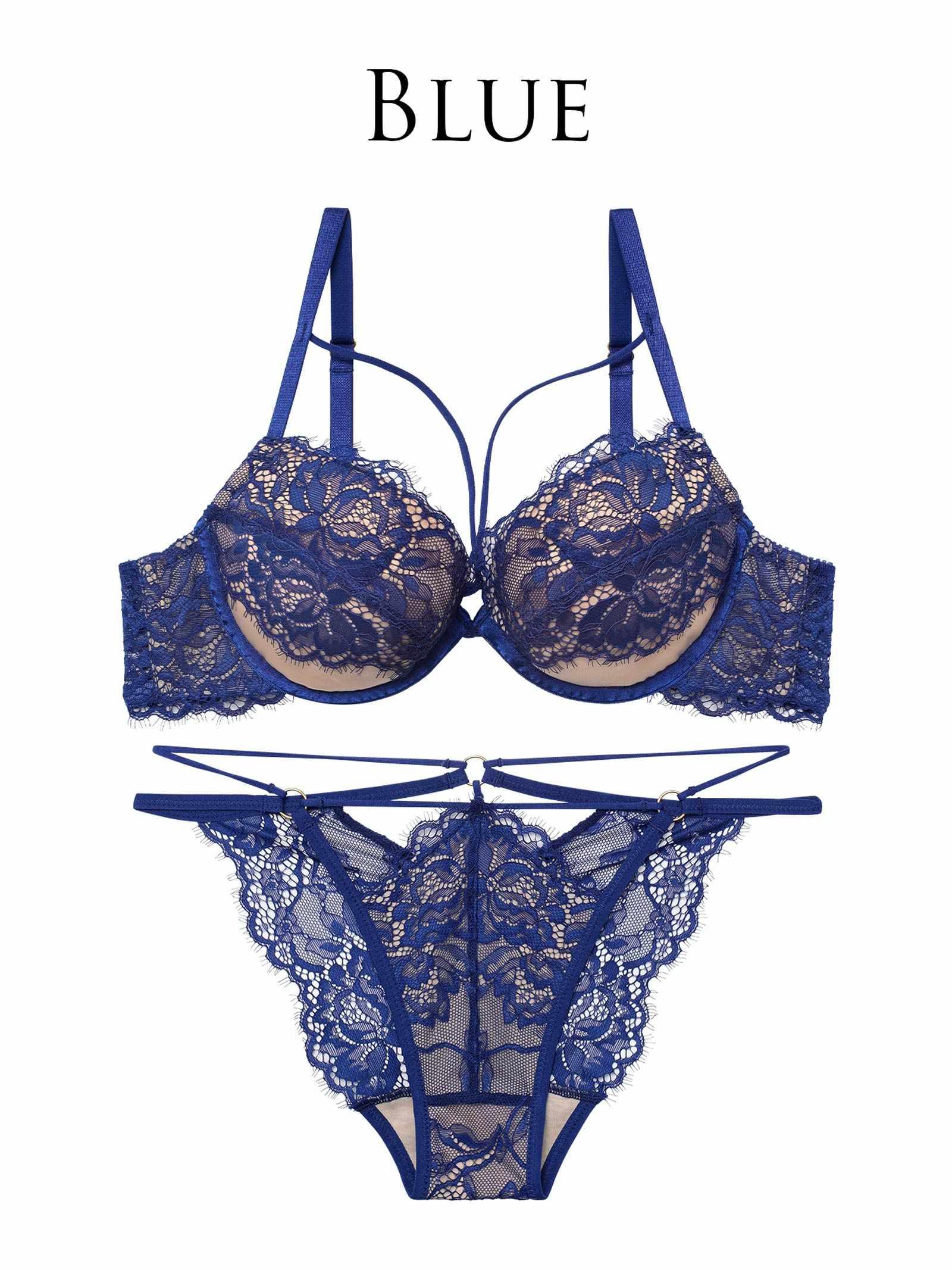 2/13新作!【Reinest】アグレアーブルレースコードブラジャー&バック透けフルバックショーツ