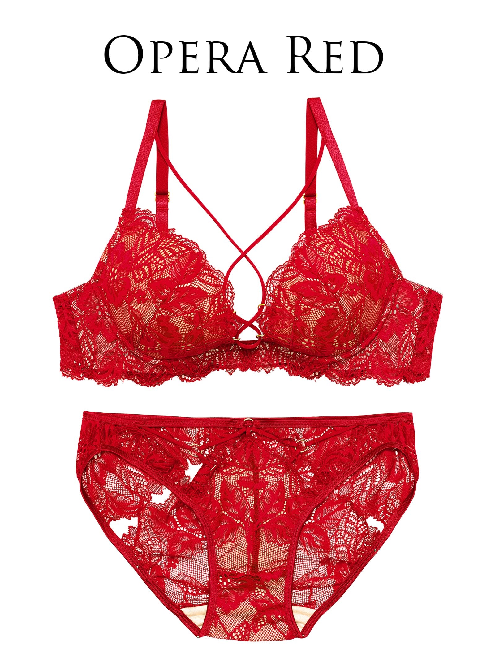 12/18新作!【Reinest】ボタニカルグラマーレースブラジャー&バック透けフルバックショーツ