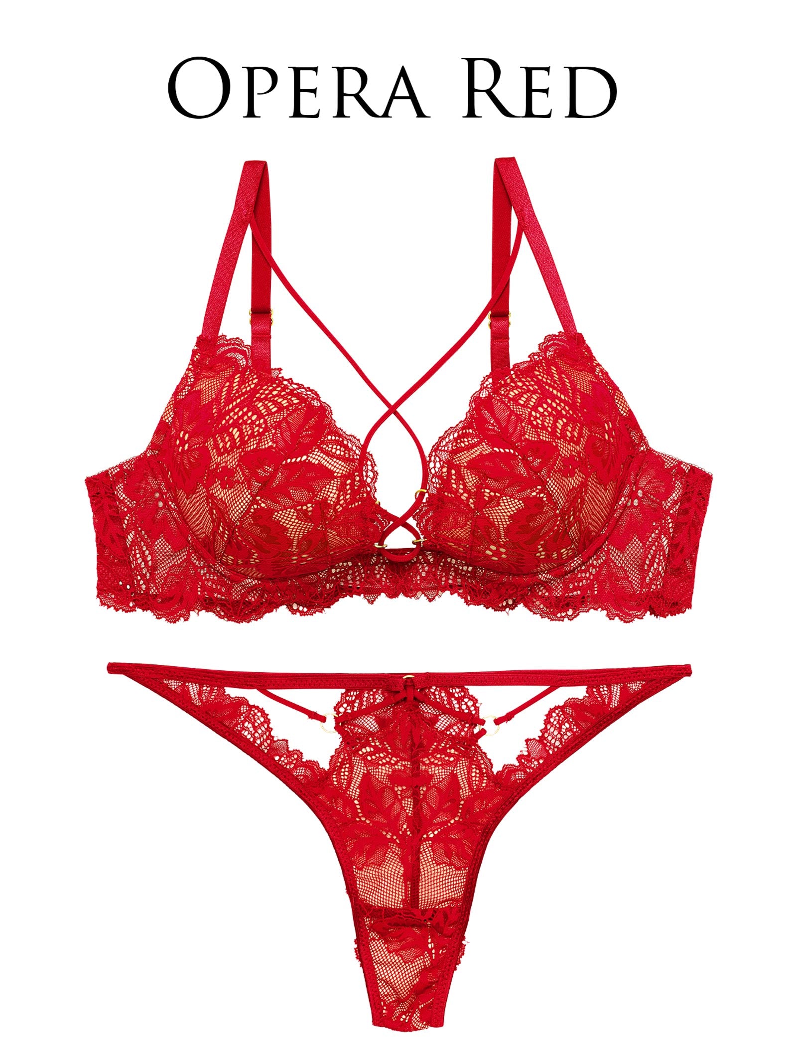 12/18新作!【Reinest】ボタニカルグラマーレースブラジャー&バック透けTバックショーツ