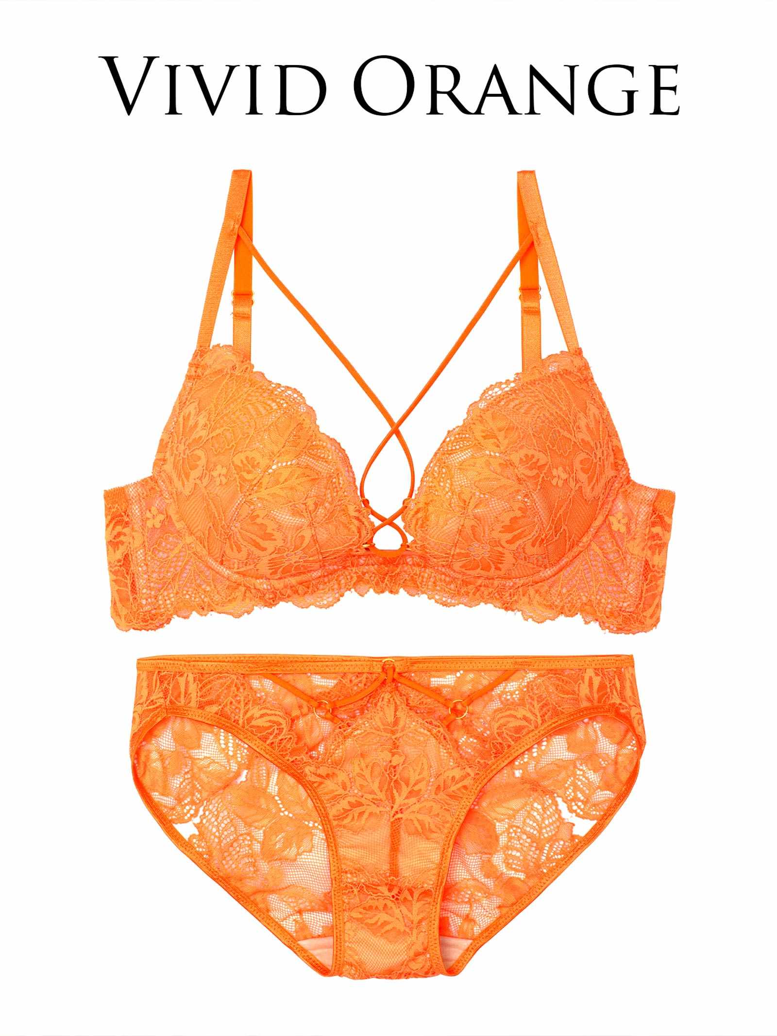 【Reinest】スピンドルレーシィカットブラジャー&バック透けフルバックショーツ