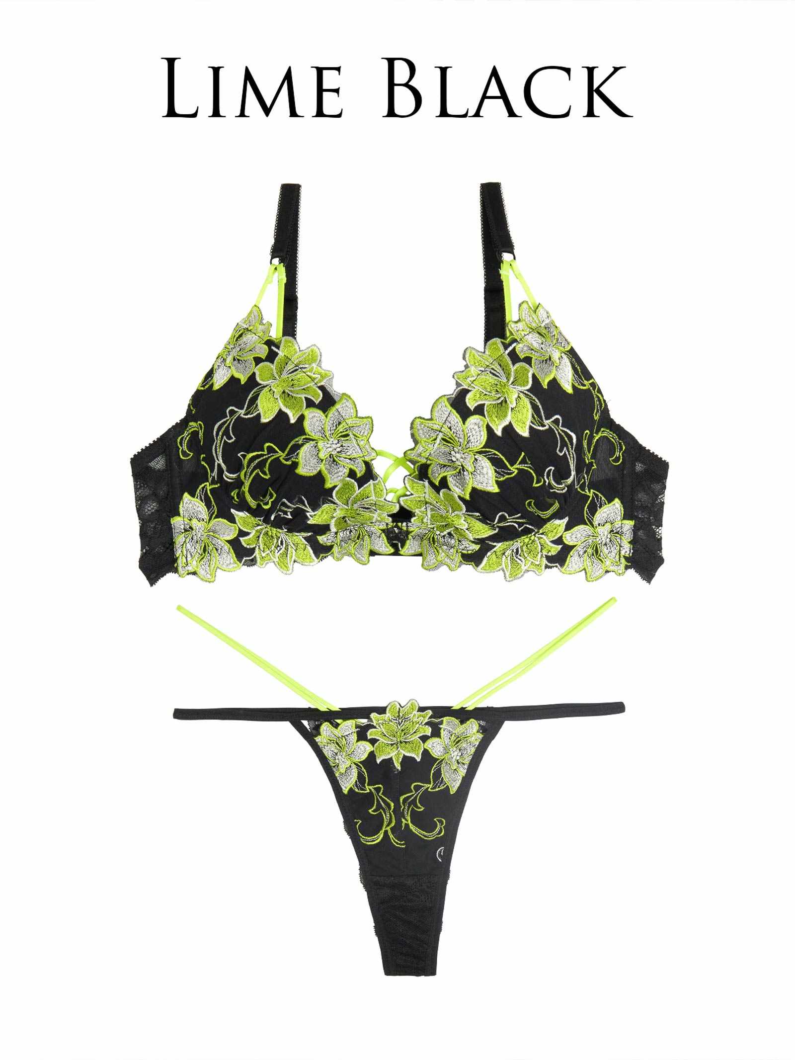 6/6新作!!【永尾まりや着用】【Reinest】リュクスブライトペタルブラジャー&バック透けTバックショーツ