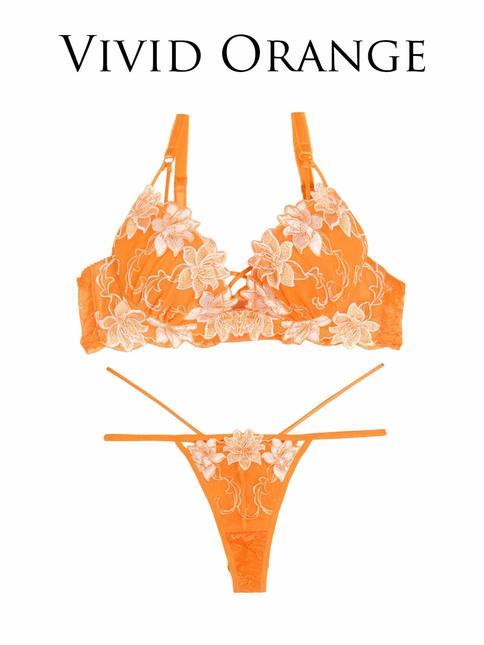 6/6新作!!【永尾まりや着用】【Reinest】リュクスブライトペタルブラジャー&バック透けTバックショーツ