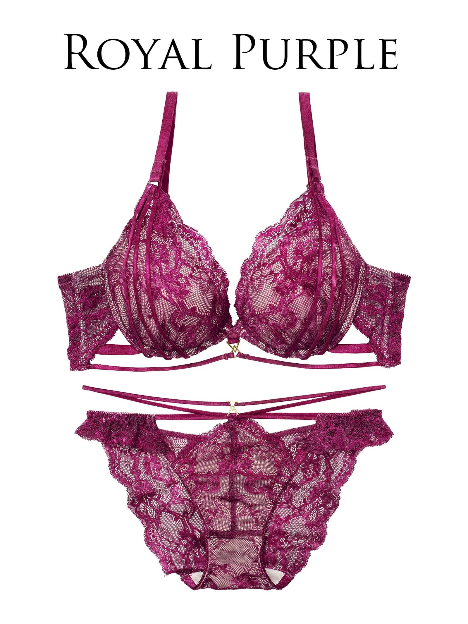 2/4新作!【Reinest】センシュアルレーシィコードブラジャー&バック透けフルバックショーツ