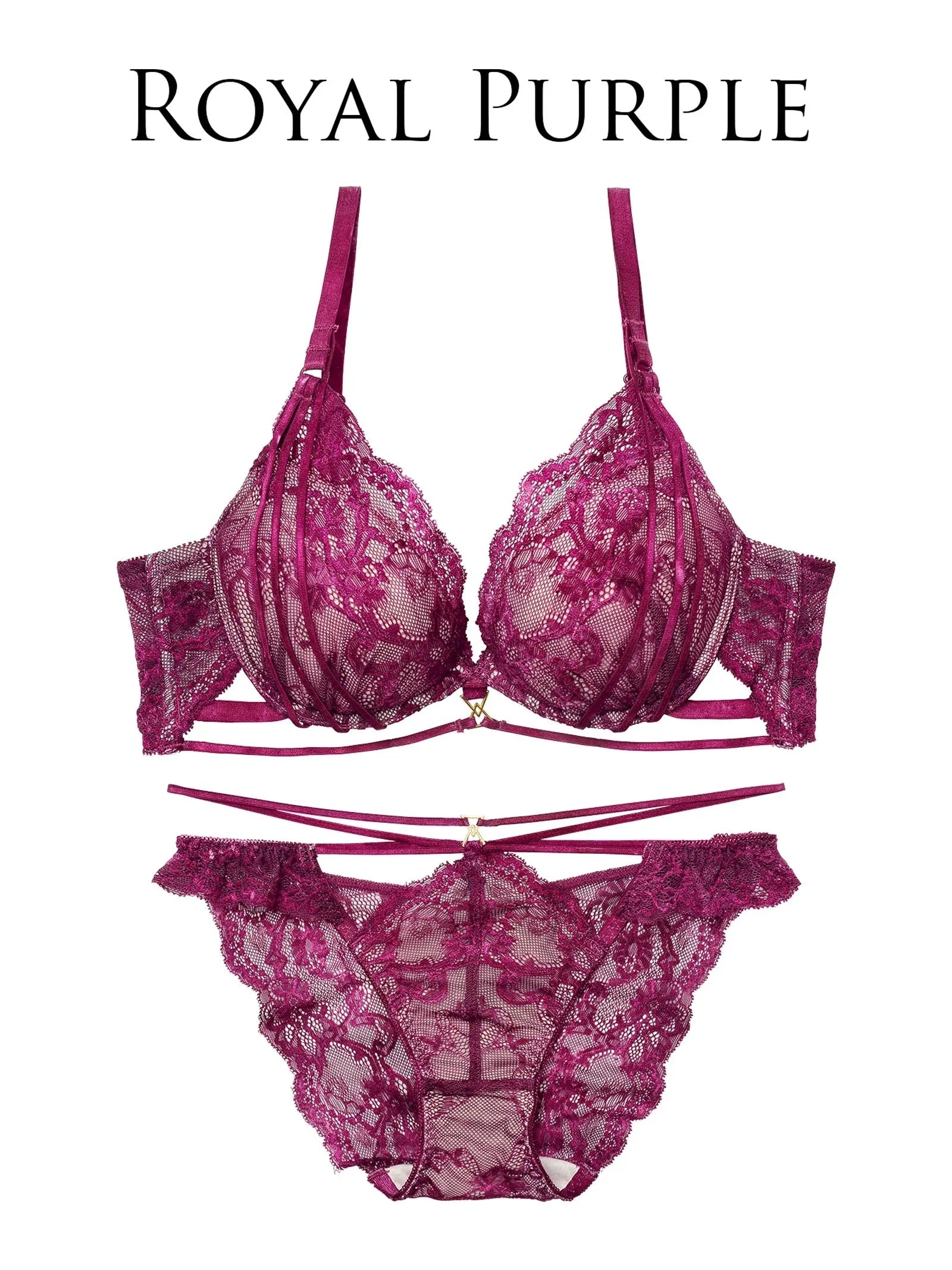 2/4新作!【Reinest】センシュアルレーシィコードブラジャー&バック透けフルバックショーツ