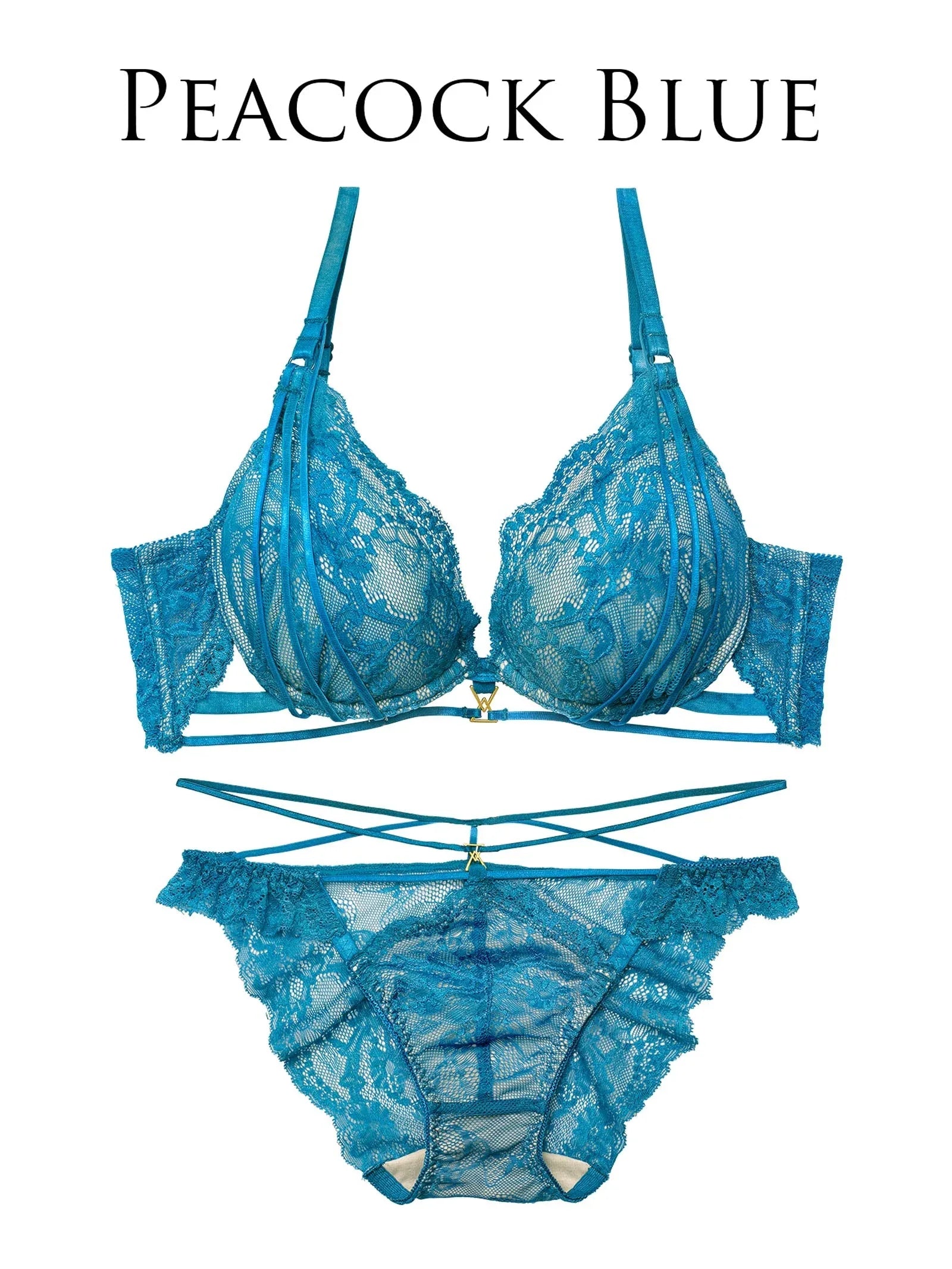 2/4新作!【Reinest】センシュアルレーシィコードブラジャー&バック透けフルバックショーツ