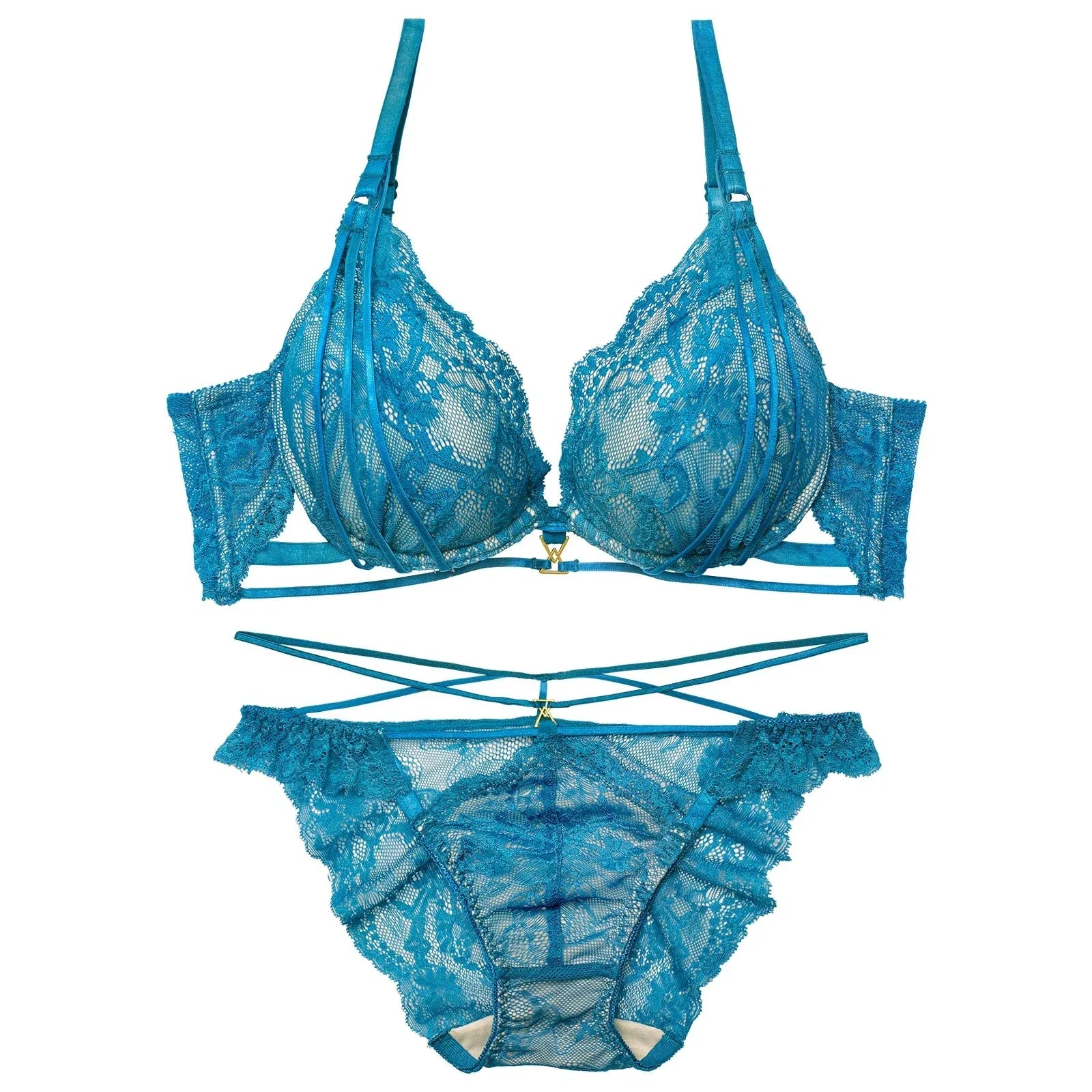 2/4新作!【Reinest】センシュアルレーシィコードブラジャー&バック透けフルバックショーツ