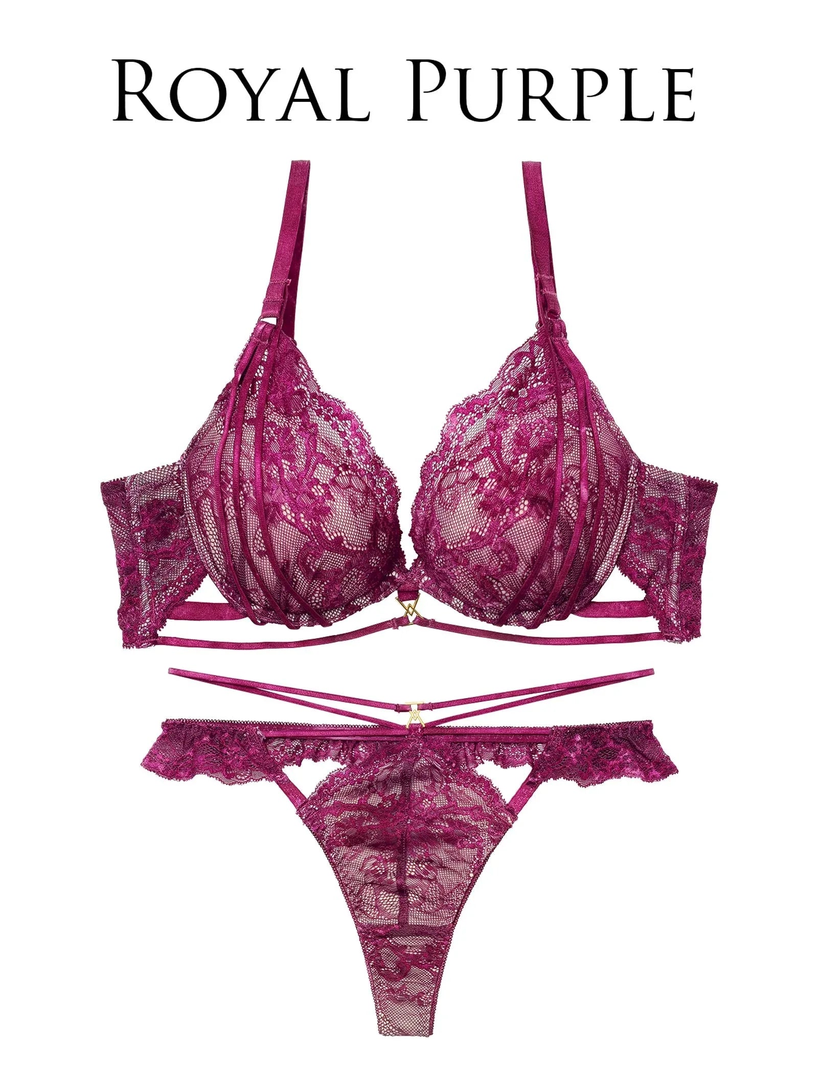 2/4新作!【Reinest】センシュアルレーシィコードブラジャー&バック透けTバックショーツ