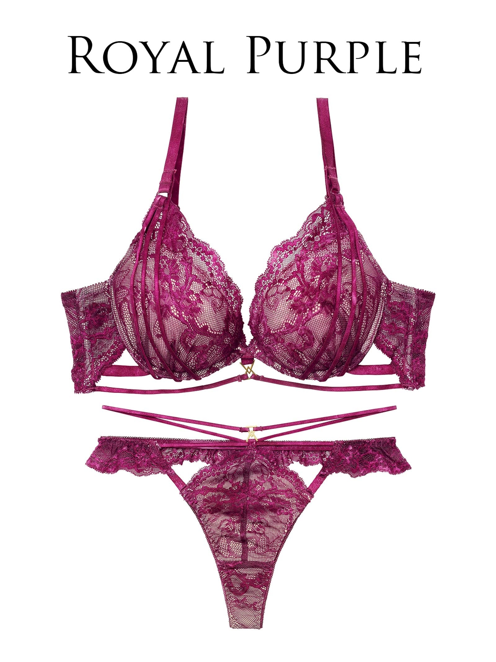 2/4新作!【Reinest】センシュアルレーシィコードブラジャー&バック透けTバックショーツ