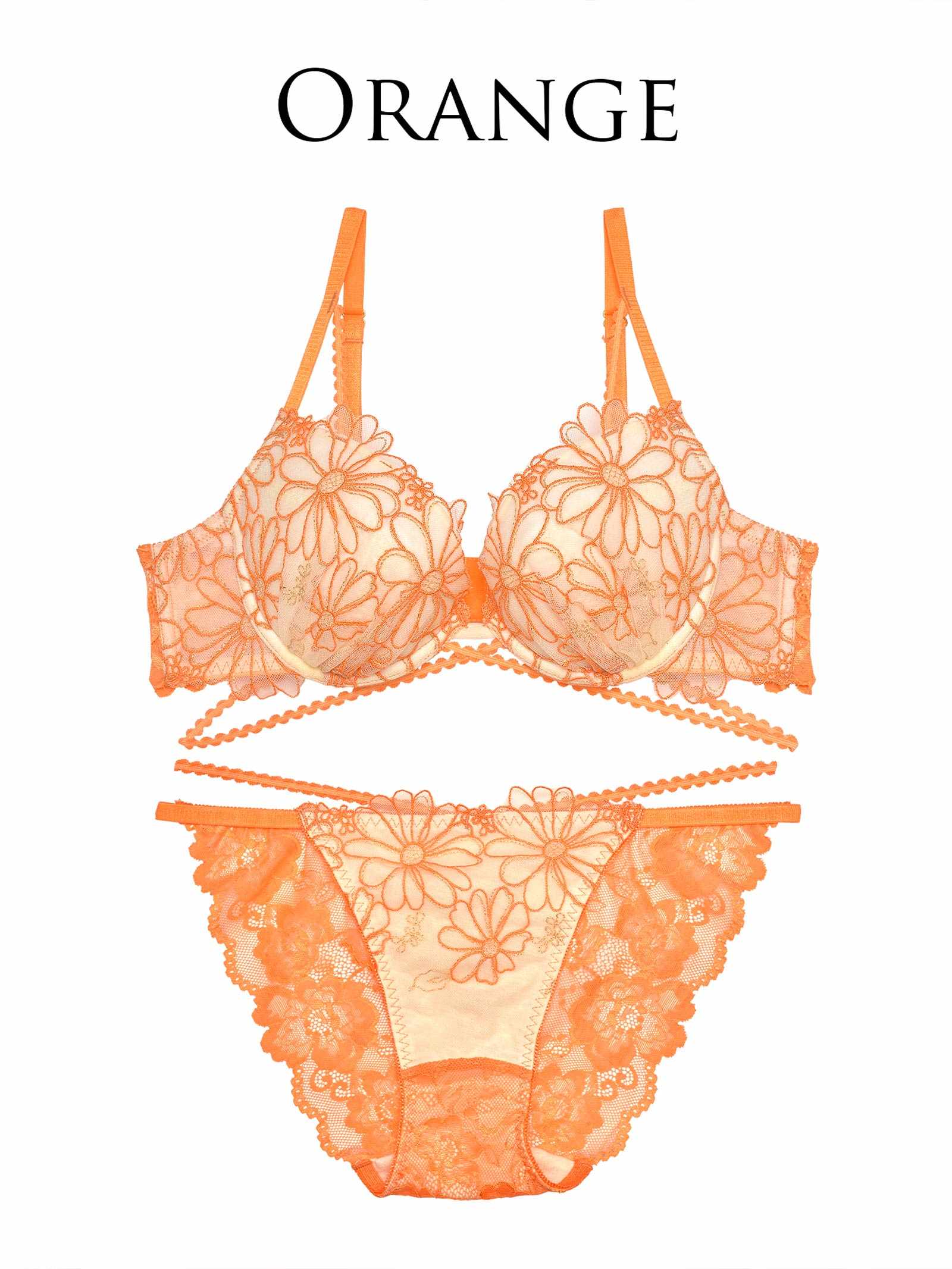 3/25新作!【Reinest】フェミニンシアーマーガレットブラジャー&バック透けフルバックショーツ