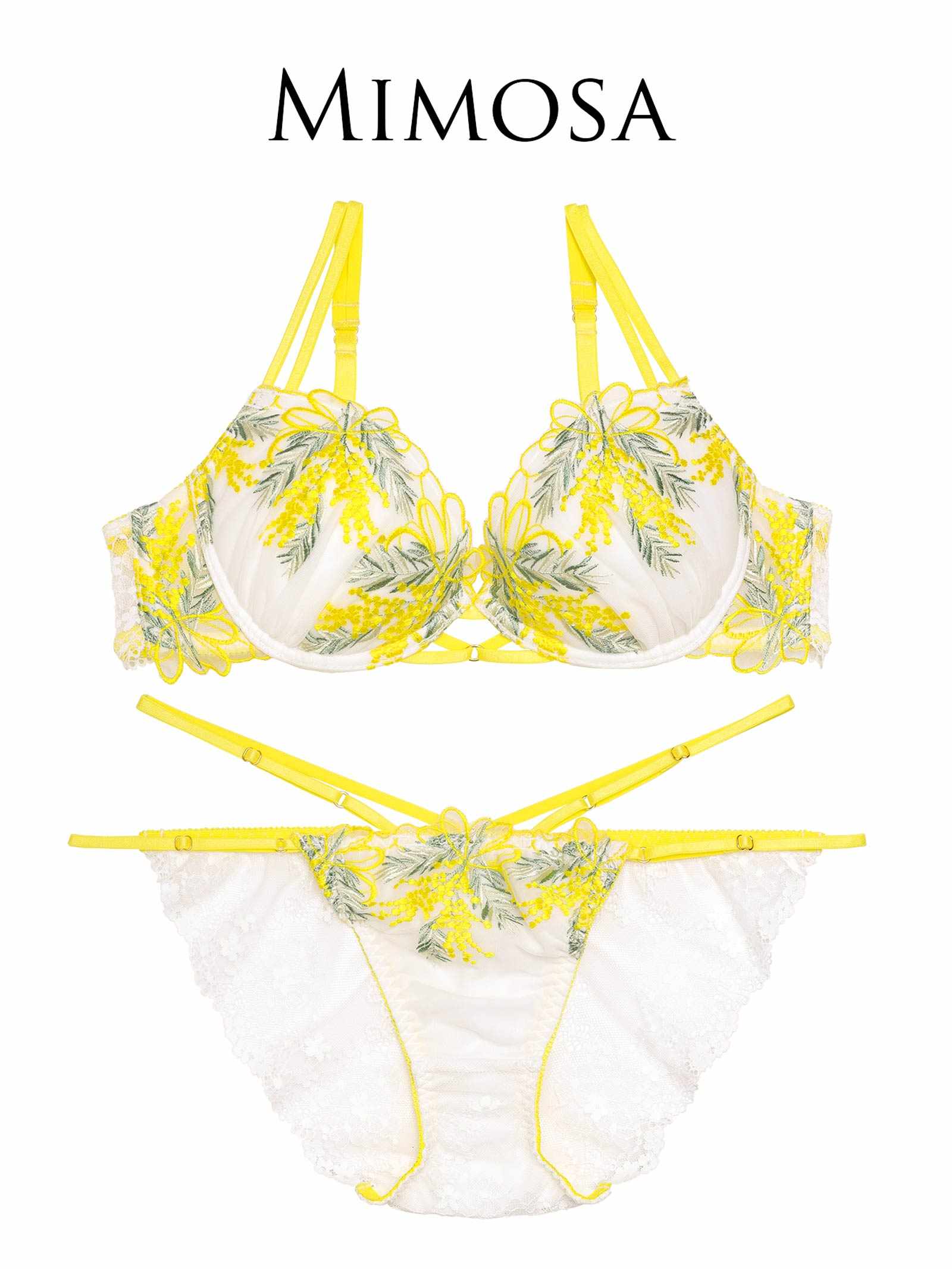 2/5新作!【永尾まりや着用】【Reinest】ノスタルジックフルールブーケブラジャー&バック透けフルバックショーツ