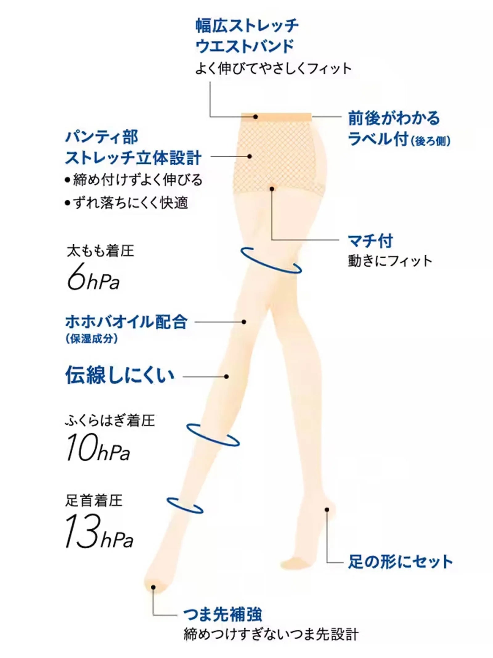 1/17再販!【SABRUNA】サブリナ 美しく引き締める着圧ストッキング - 【公式】247Lingerie