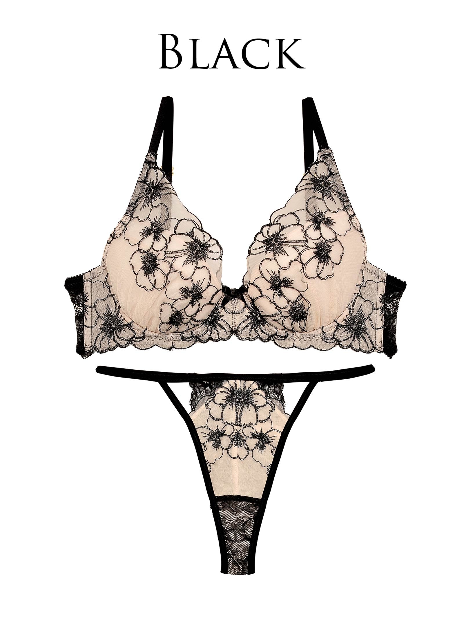 9/15新作【Reinest】ロマンスビオラエンブロイダリーブラジャー&バック透けTバックショーツ