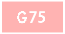 G75サイズのブラジャー通販