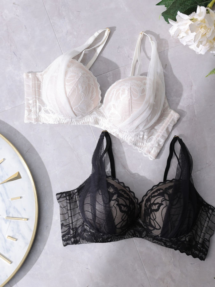 レイネスト ブラ