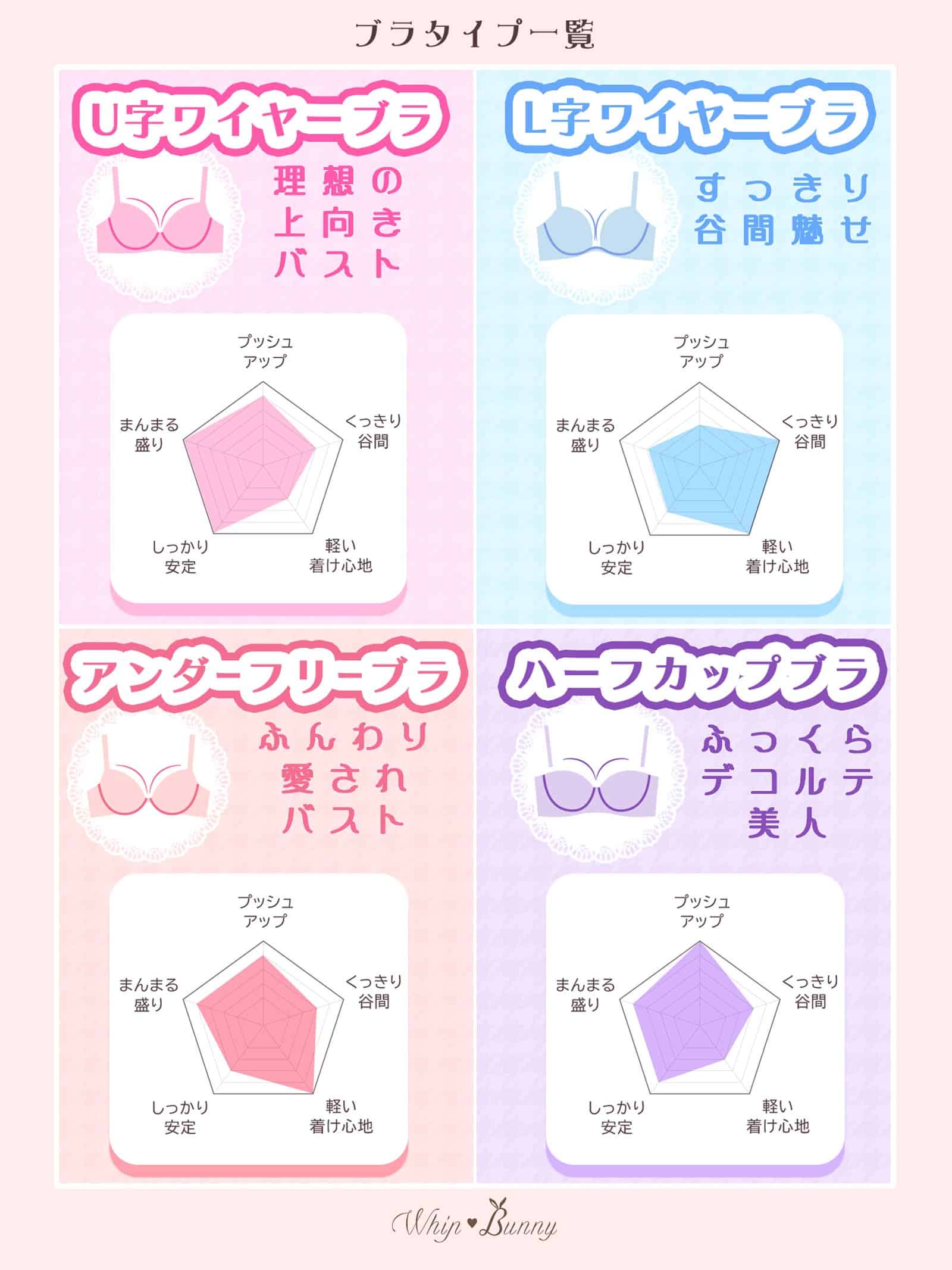 8/11再販!【明日花キララプロデュース/WhipBunny】Rouge Blossom Bra&Shorts / ルージュブロッサムブラ＆ショーツ