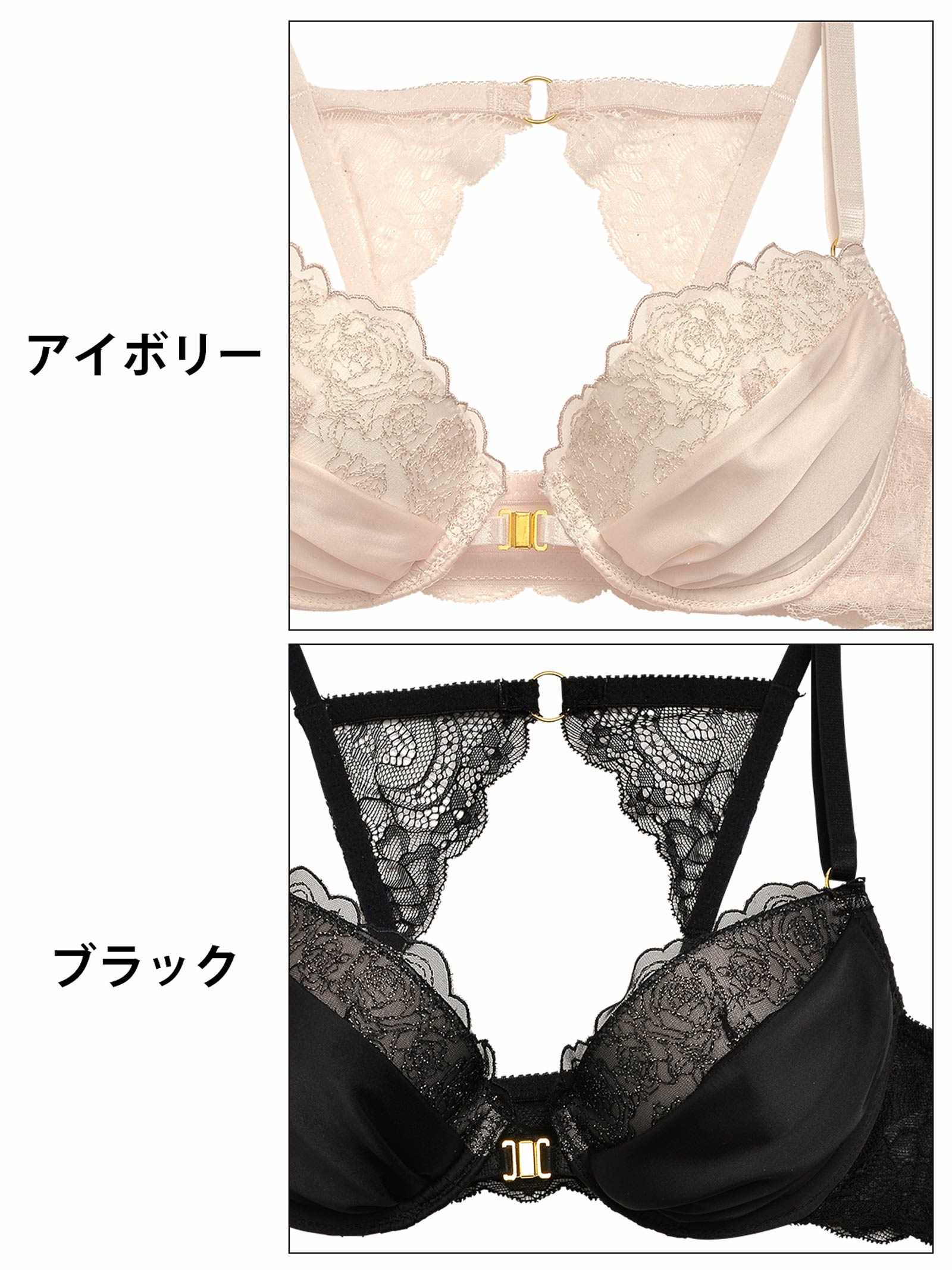 シアーローズレースフロントホックブラジャー&フルバックショーツ