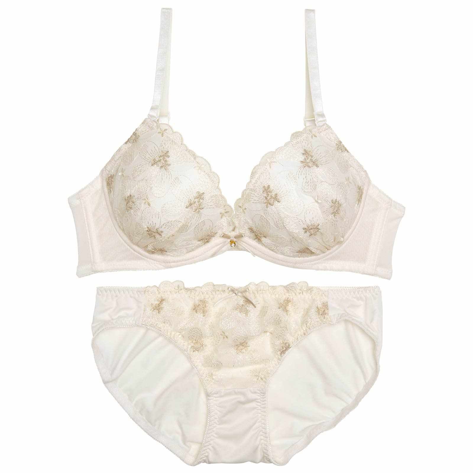 【EFサイズ】ピュアダスティブルームブラジャー&フルバックショーツ