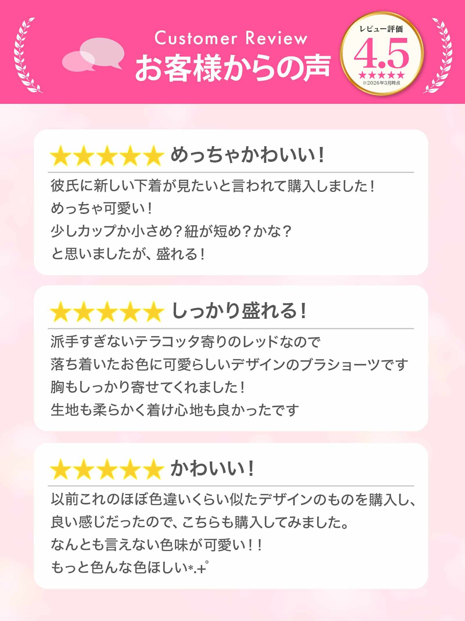 3/24再販!レーシィスカラップブラジャー&バック透けフルバックショーツ