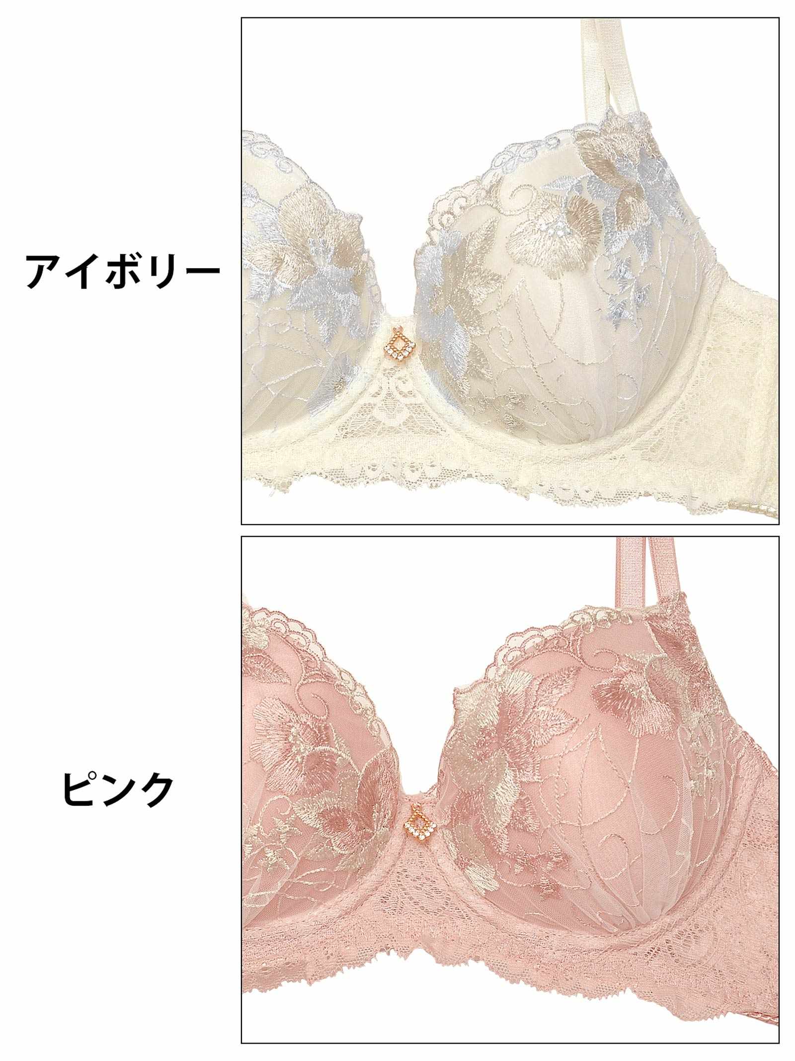 2/26再販!ニュアンスアイビーブルーム育乳脇高ブラジャー&バック透けフルバックショーツ