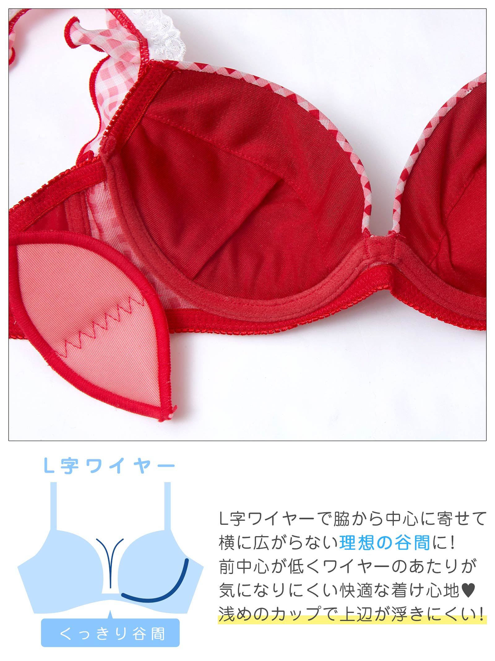 12/3新作!【かとゆり着用】ラブリーギンガムチェックブラジャー&Tバックショーツ