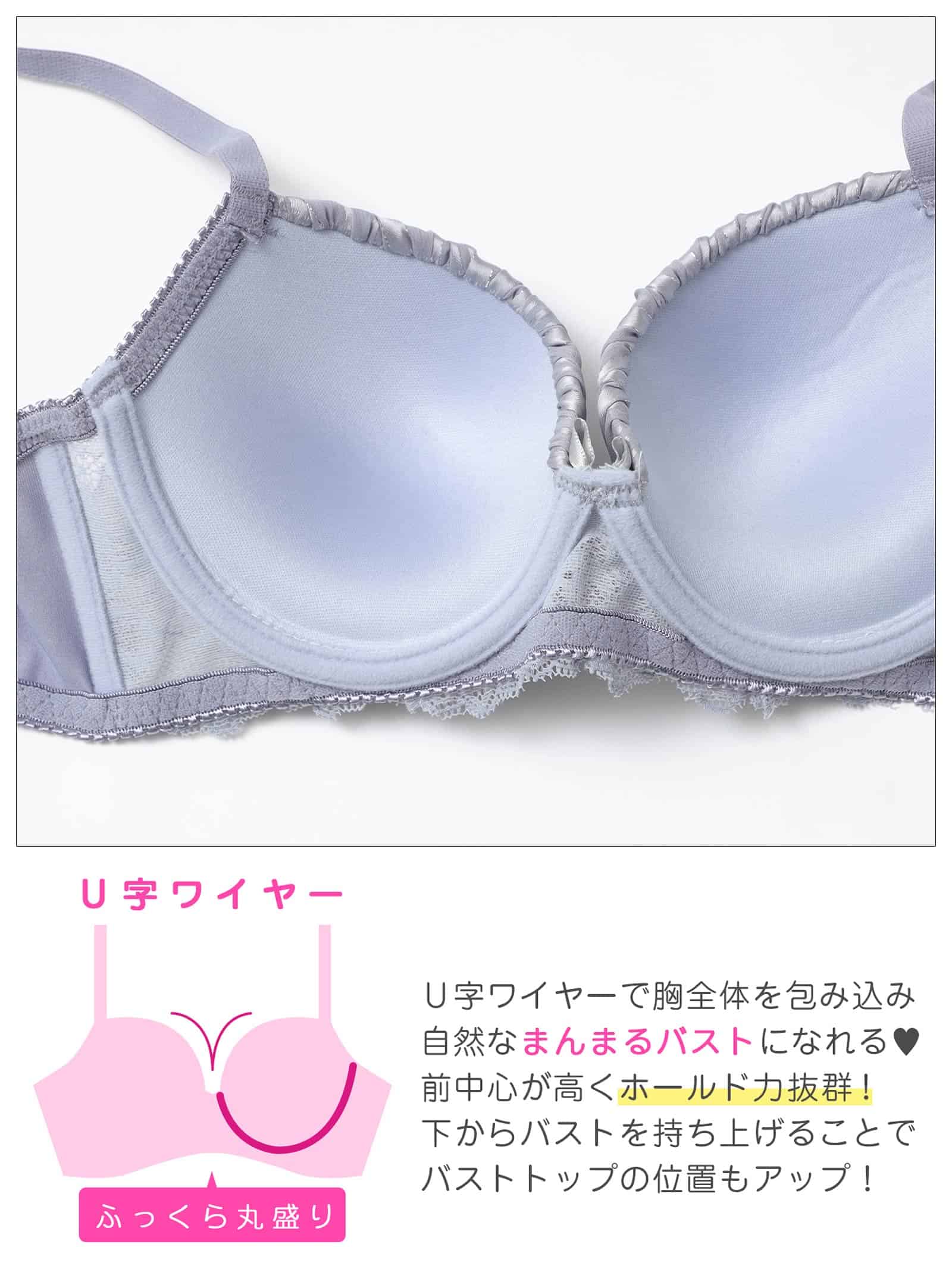 9/2新作!ダスティストライプレース育乳脇高ブラジャー&フルバックショーツ