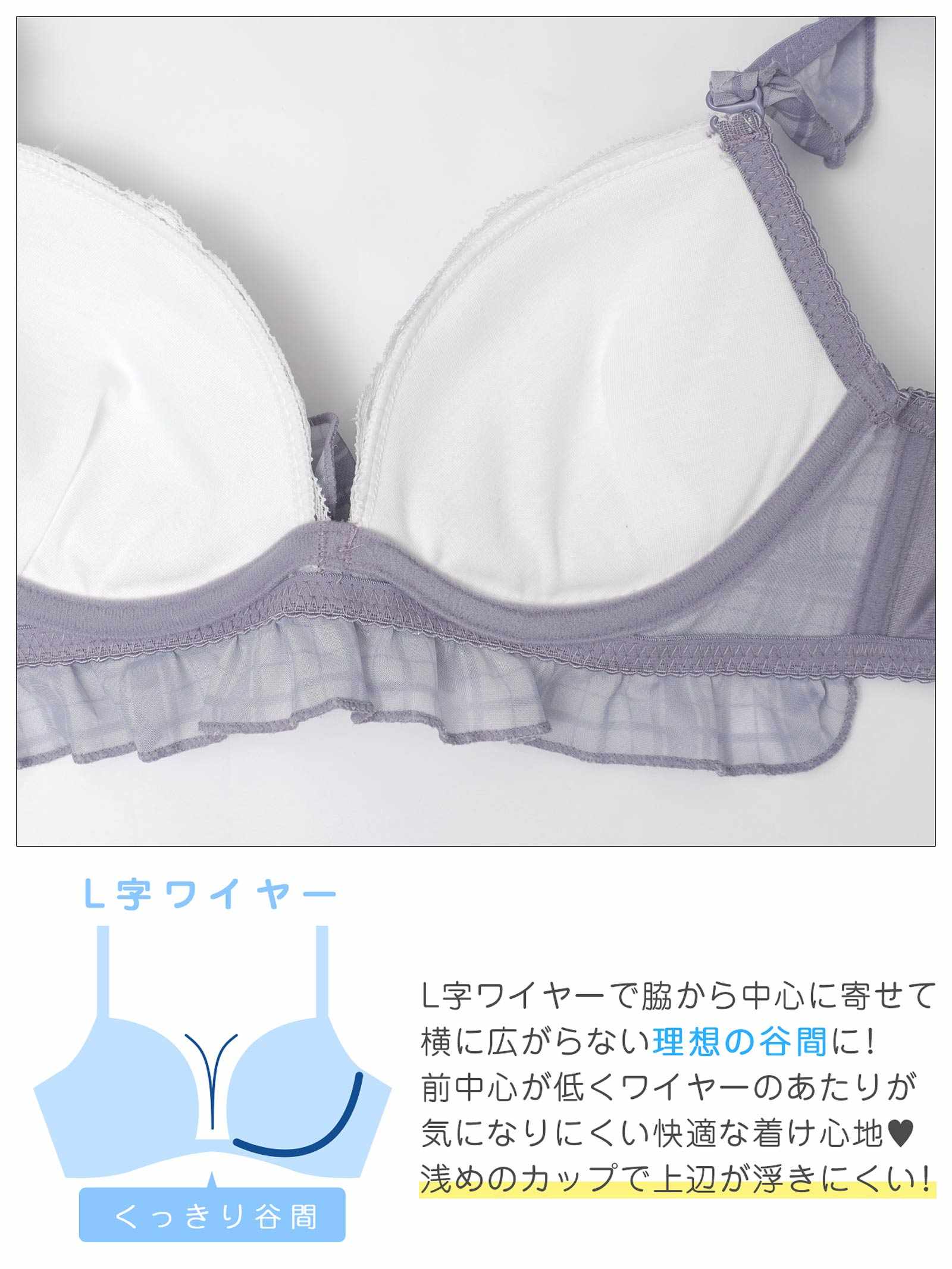 11/12新作!シュクレチェックシフォンブラジャー&フルバックショーツ