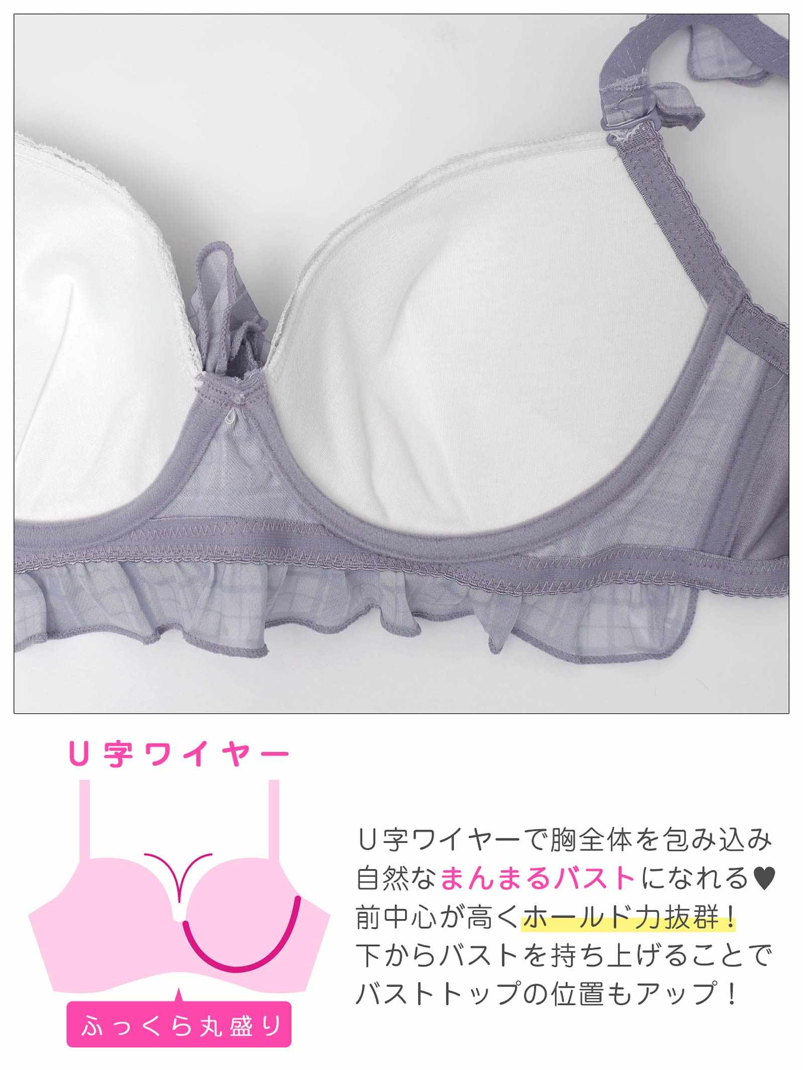 11/12新作!【EFサイズ】シュクレチェックシフォンブラジャー&フルバックショーツ