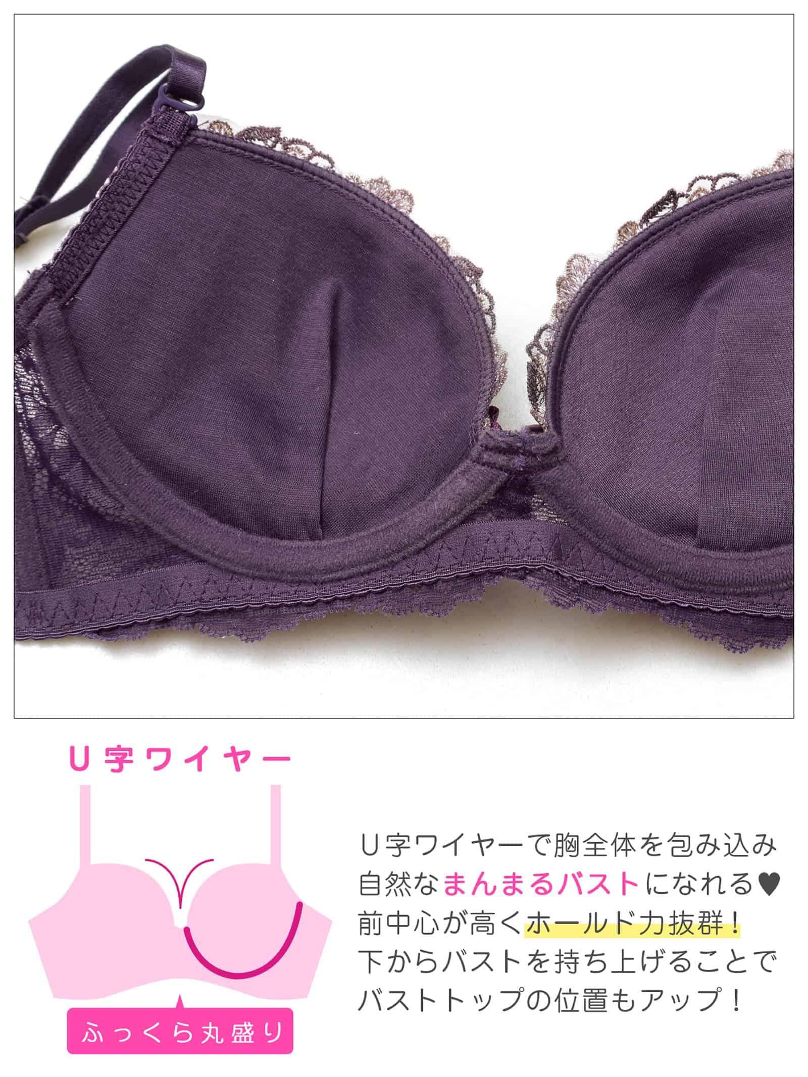 2/25新作!アリュールブロッサムエンブロイダリー育乳脇高ブラジャー&フルバックショーツ